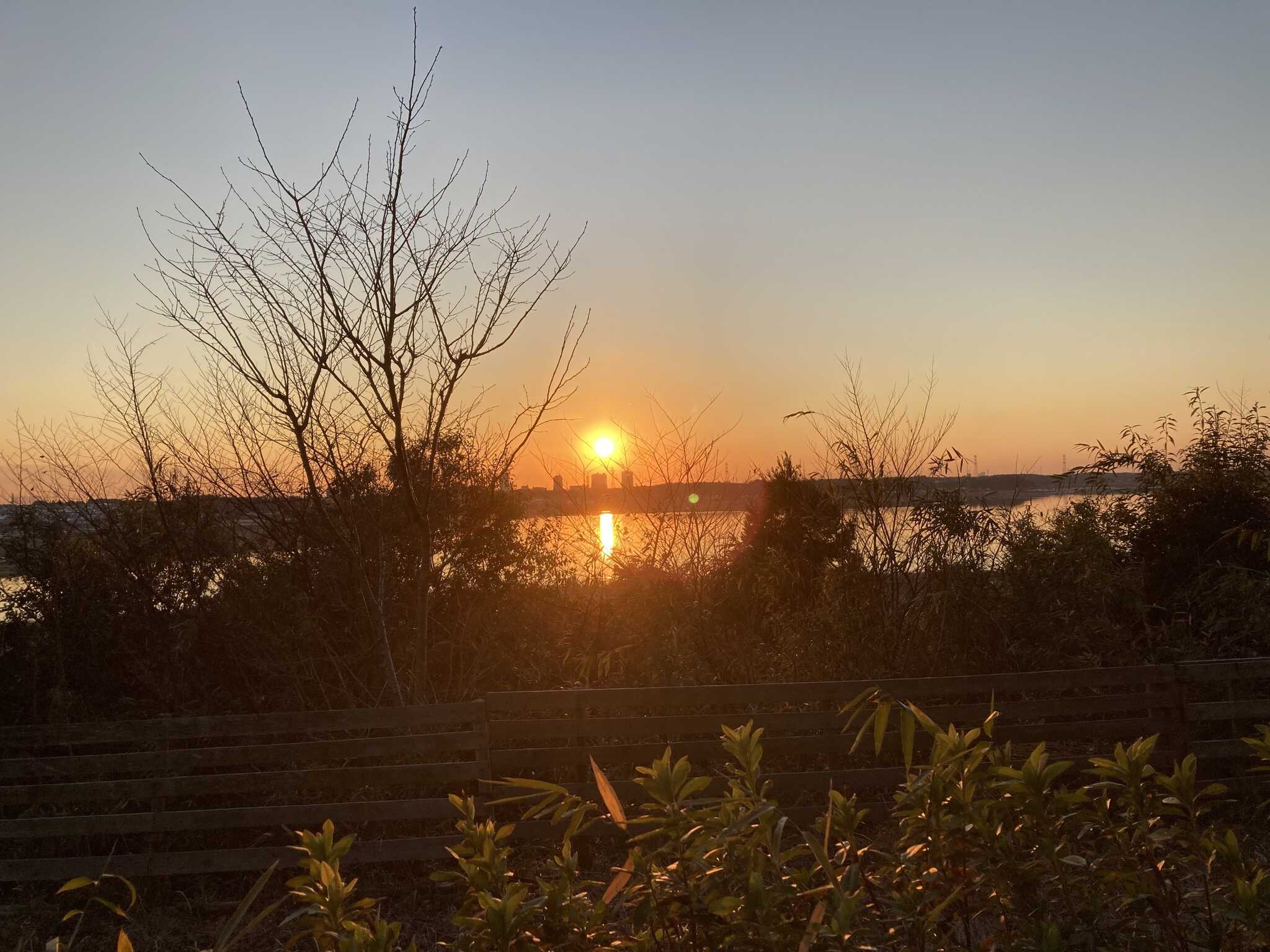 夕陽