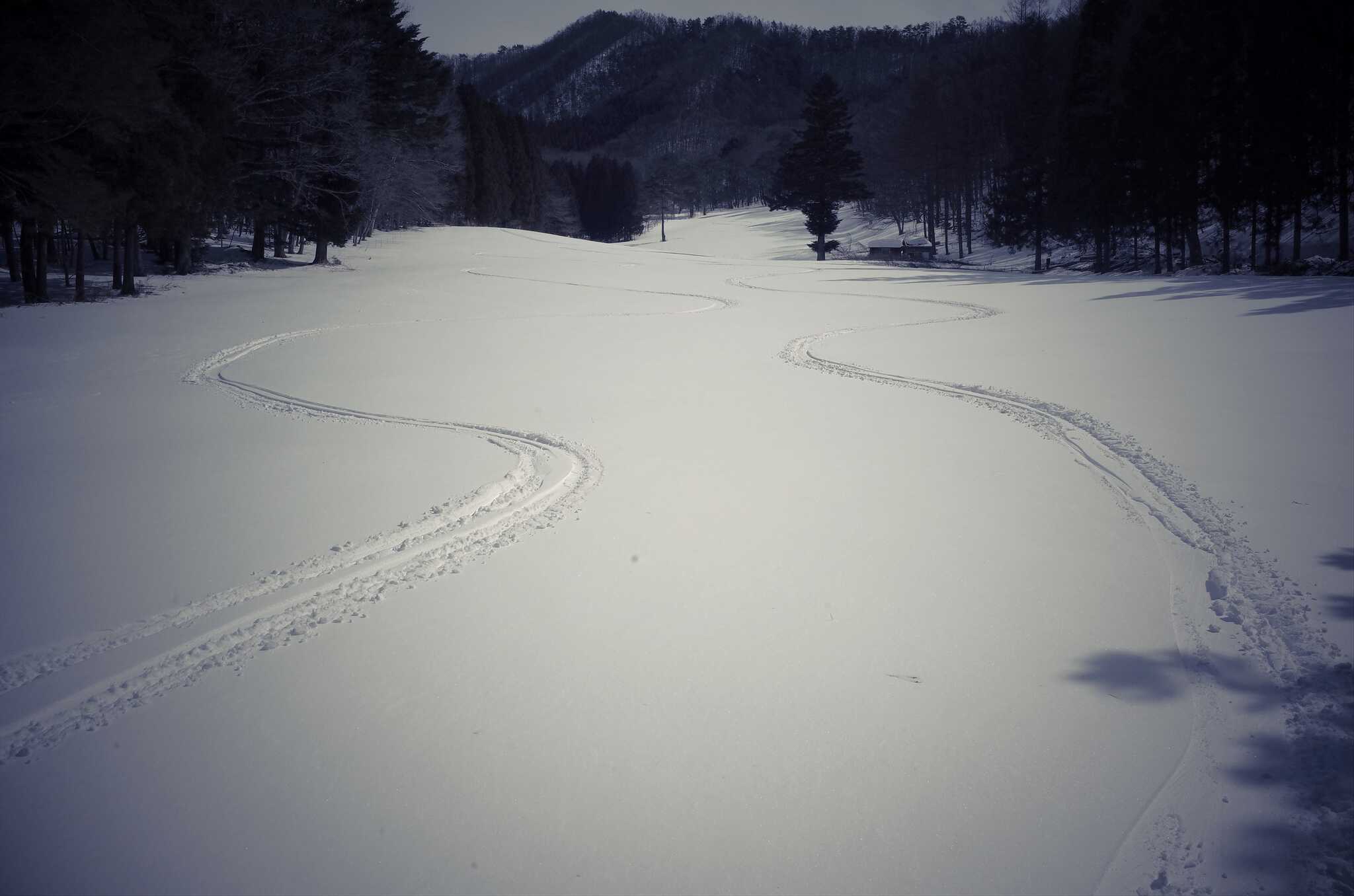 2月より締まって、ひゃっほう~♬な雪面。