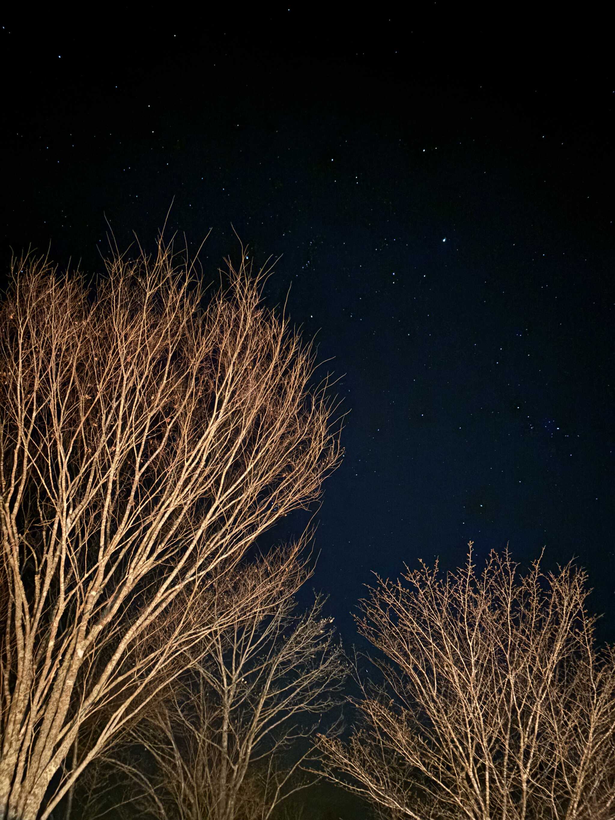 焚き火の灯りと満天の星空