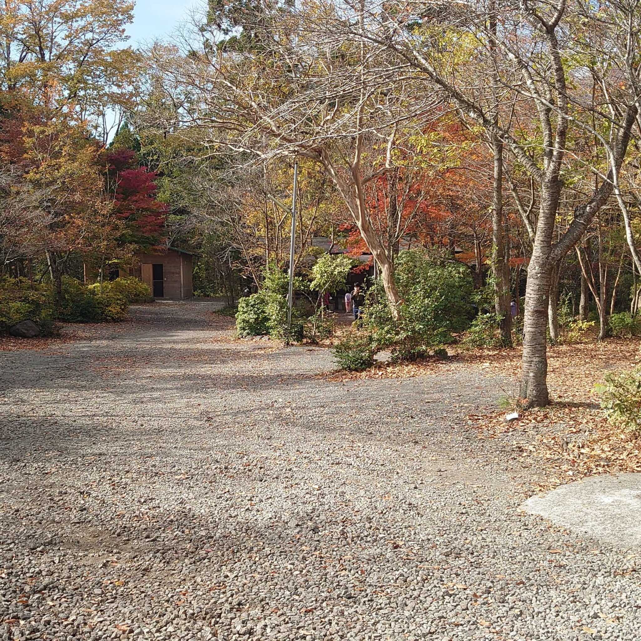 キャンプ場写真