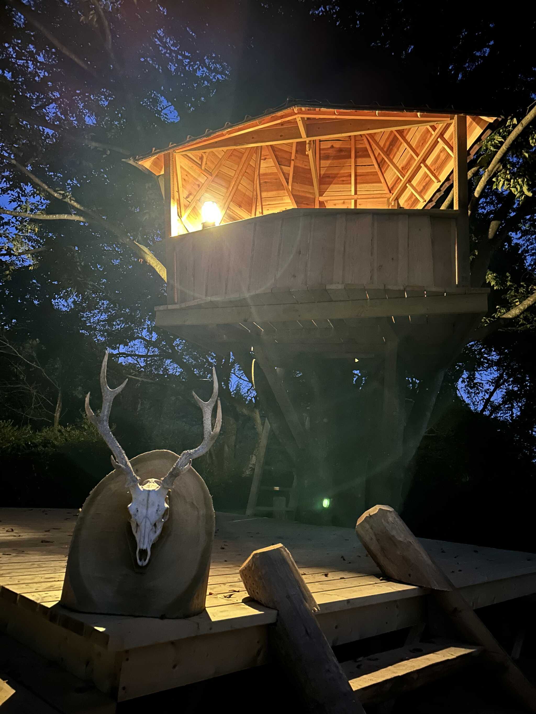 夜のツリーハウス