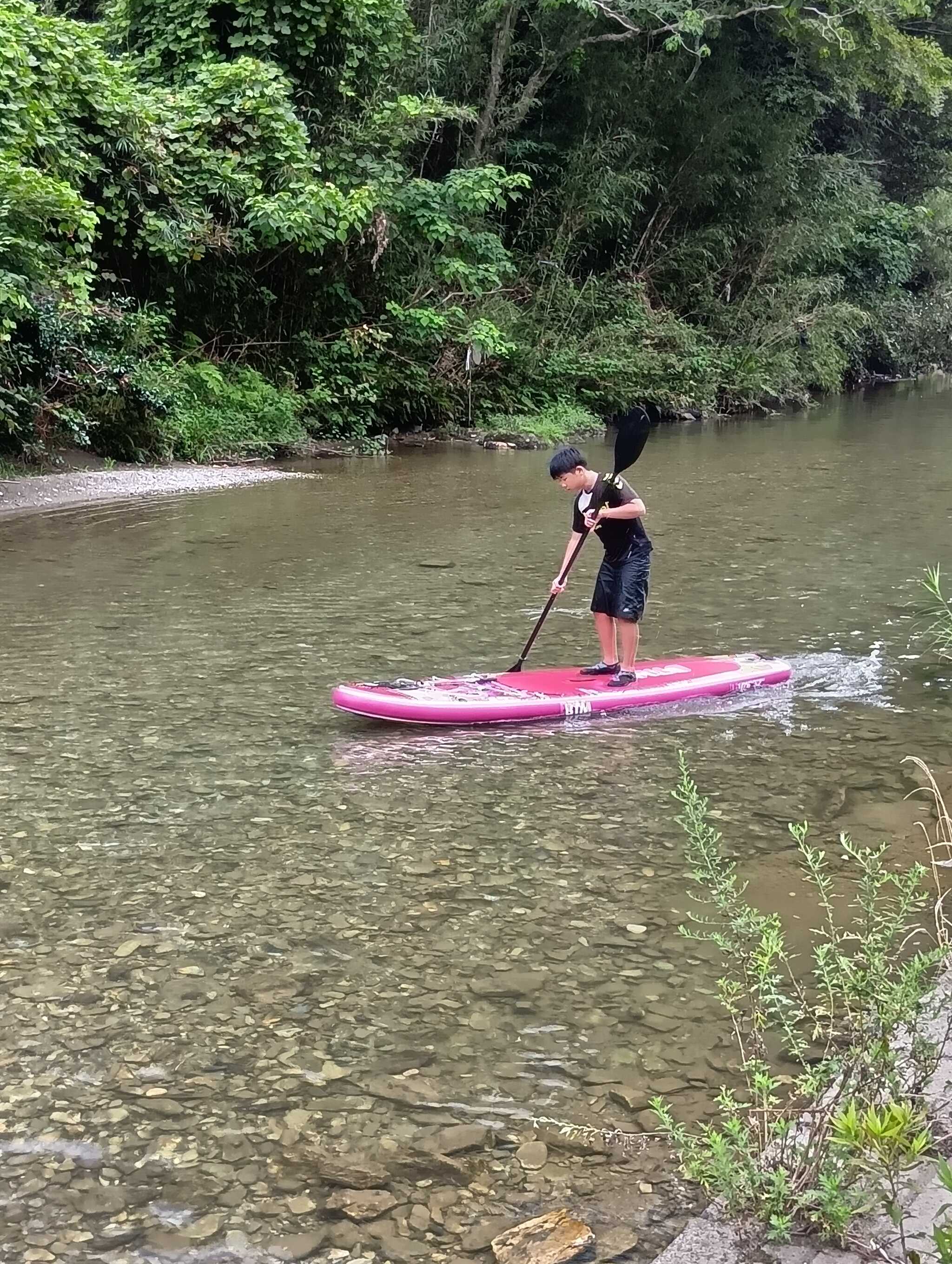サップ水位