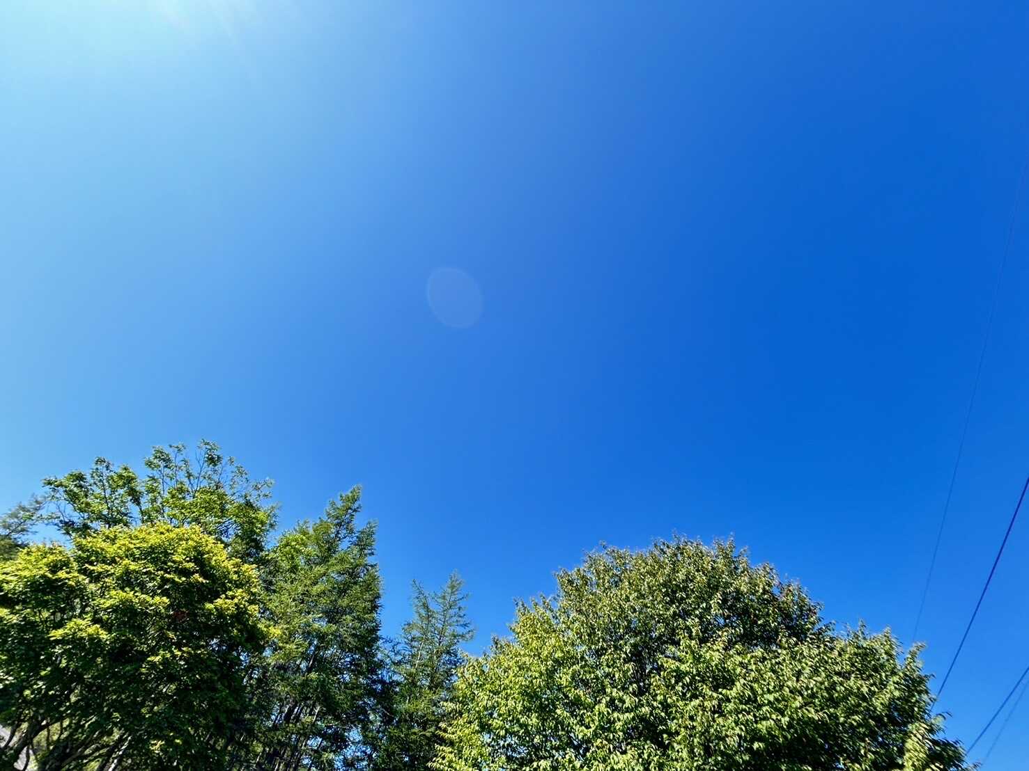 本当の青空