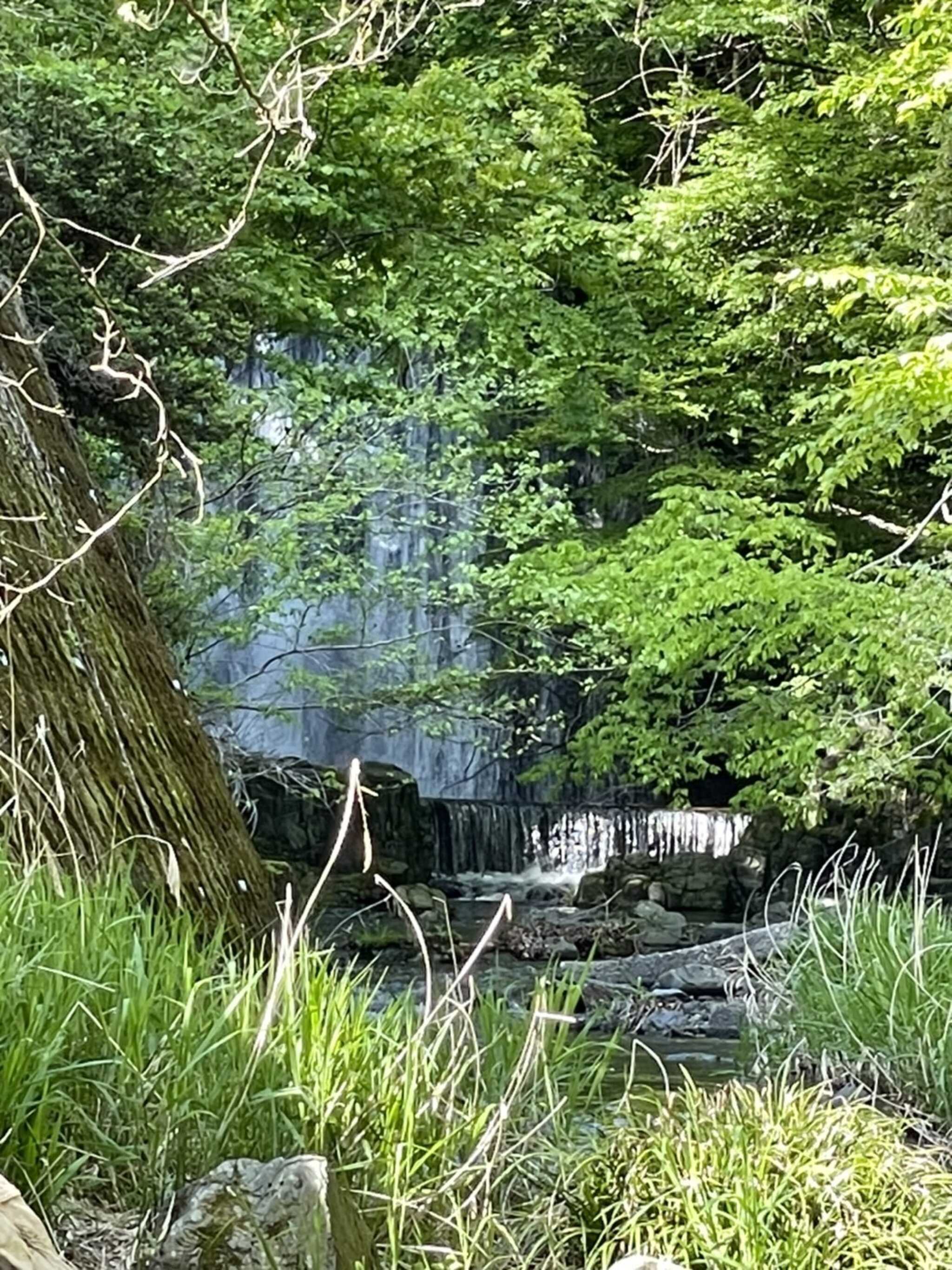 敷地内の滝