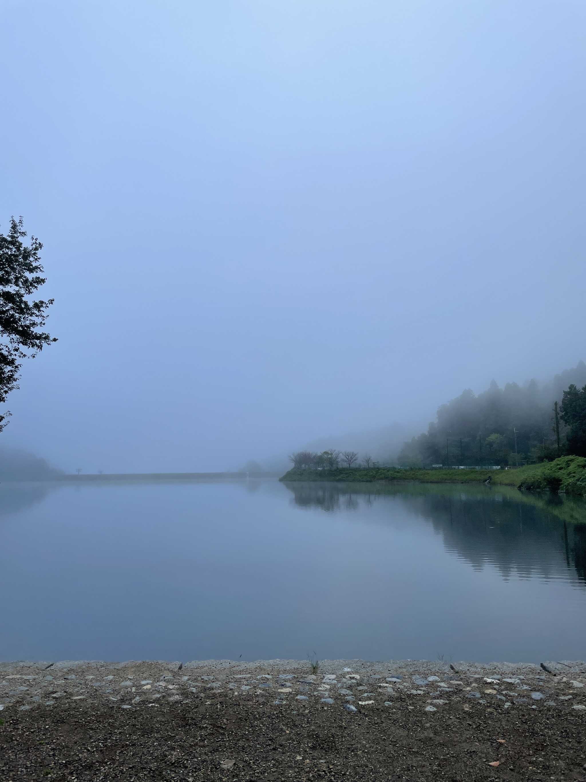 朝の散歩時の池