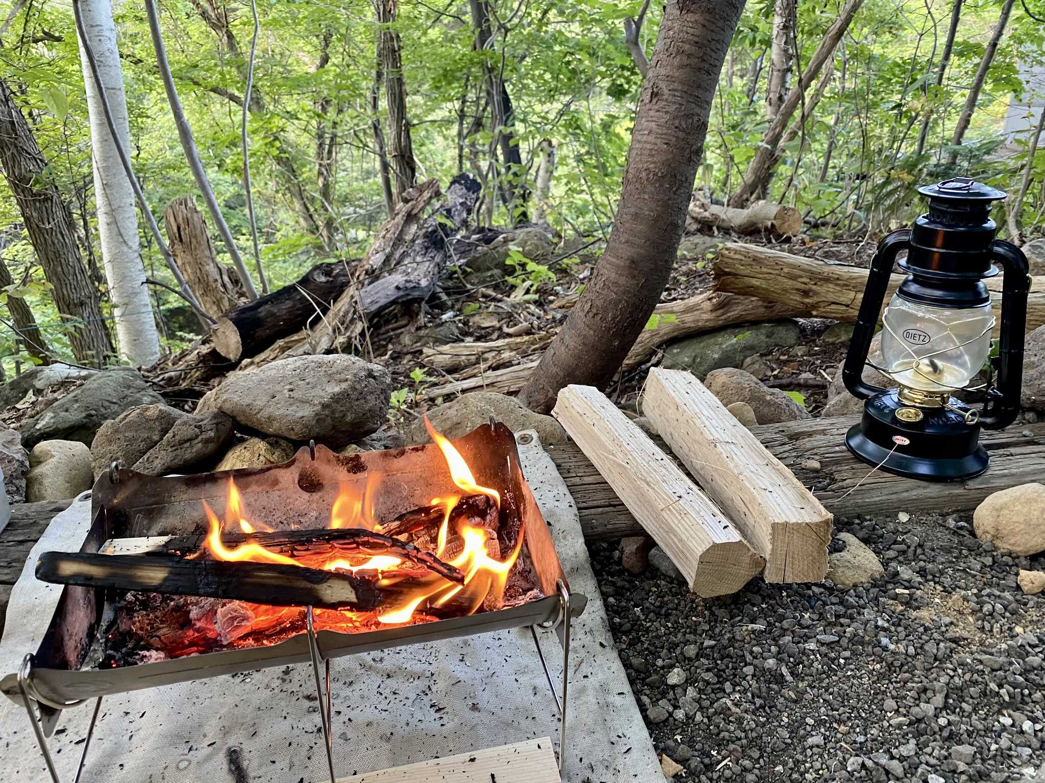 solocampers field FOREST MUSICの写真 3枚目
