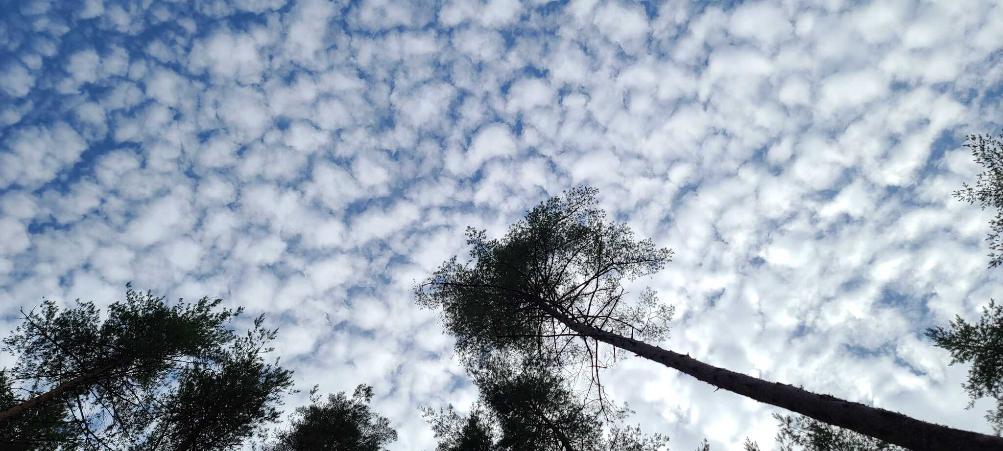 サイトから見上げた空