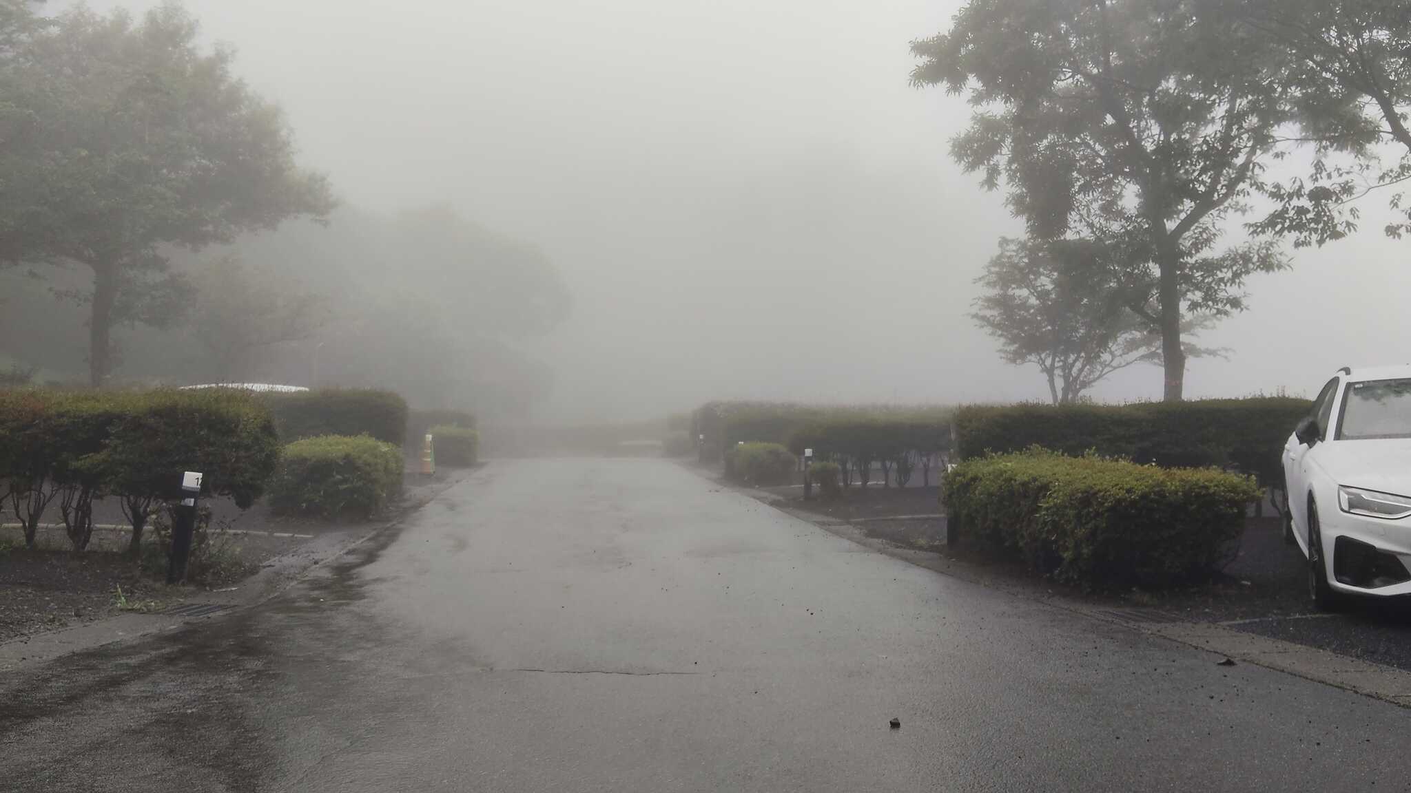 雨、来ました。平日で空いてますが、通路は川やん。