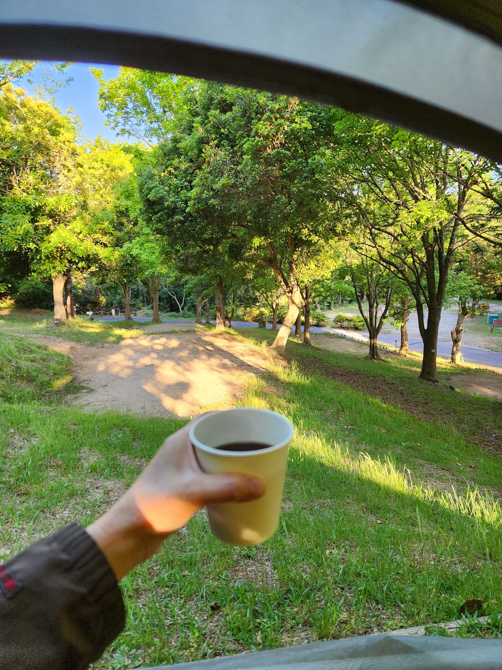 朝のコーヒーがおいしかった