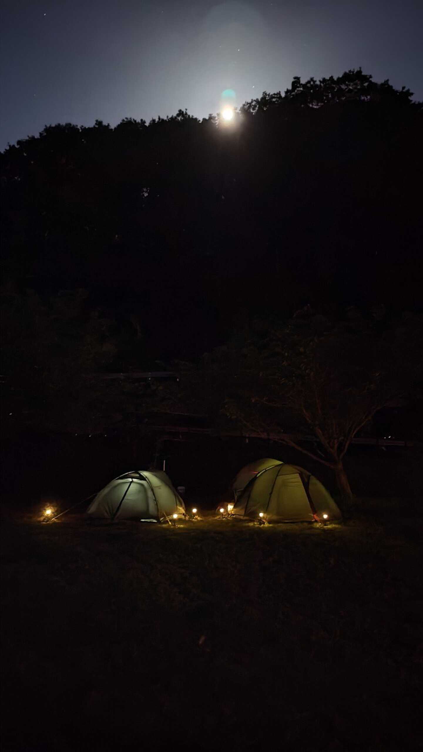 おぼろ月夜と蛍の光