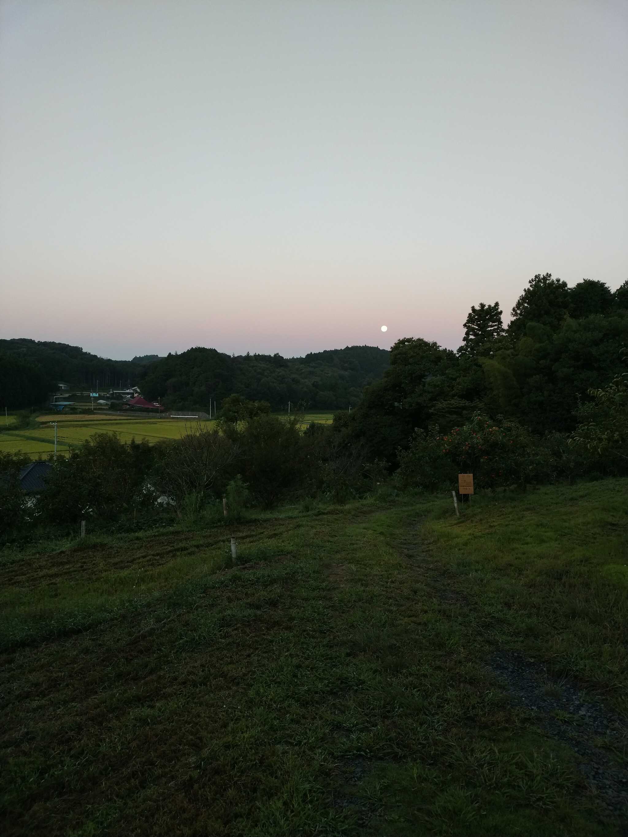 中秋の名月(翌朝)