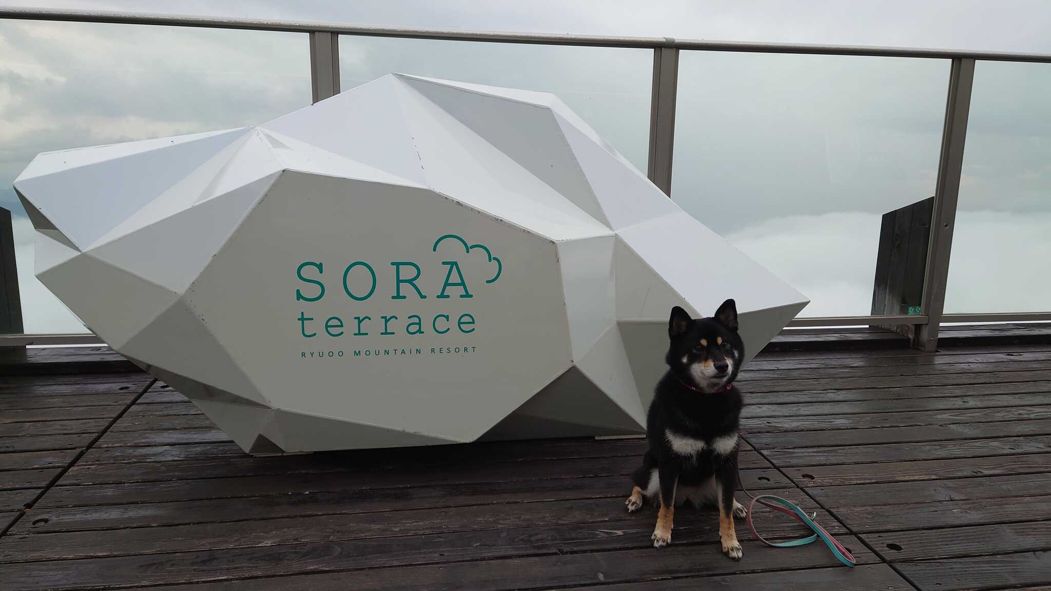 SORA terrace にて