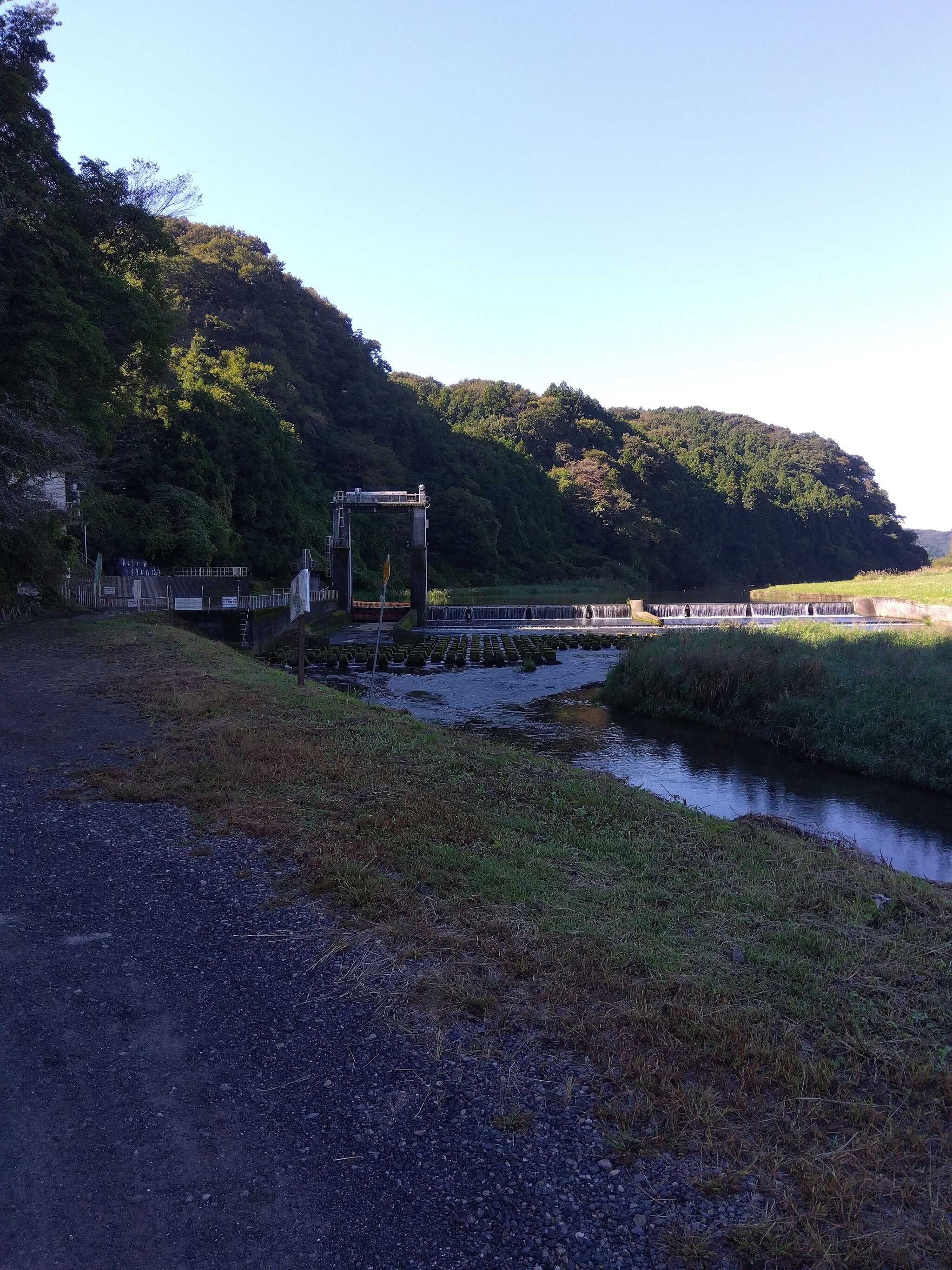 高間木キャンプ場の写真 2枚目