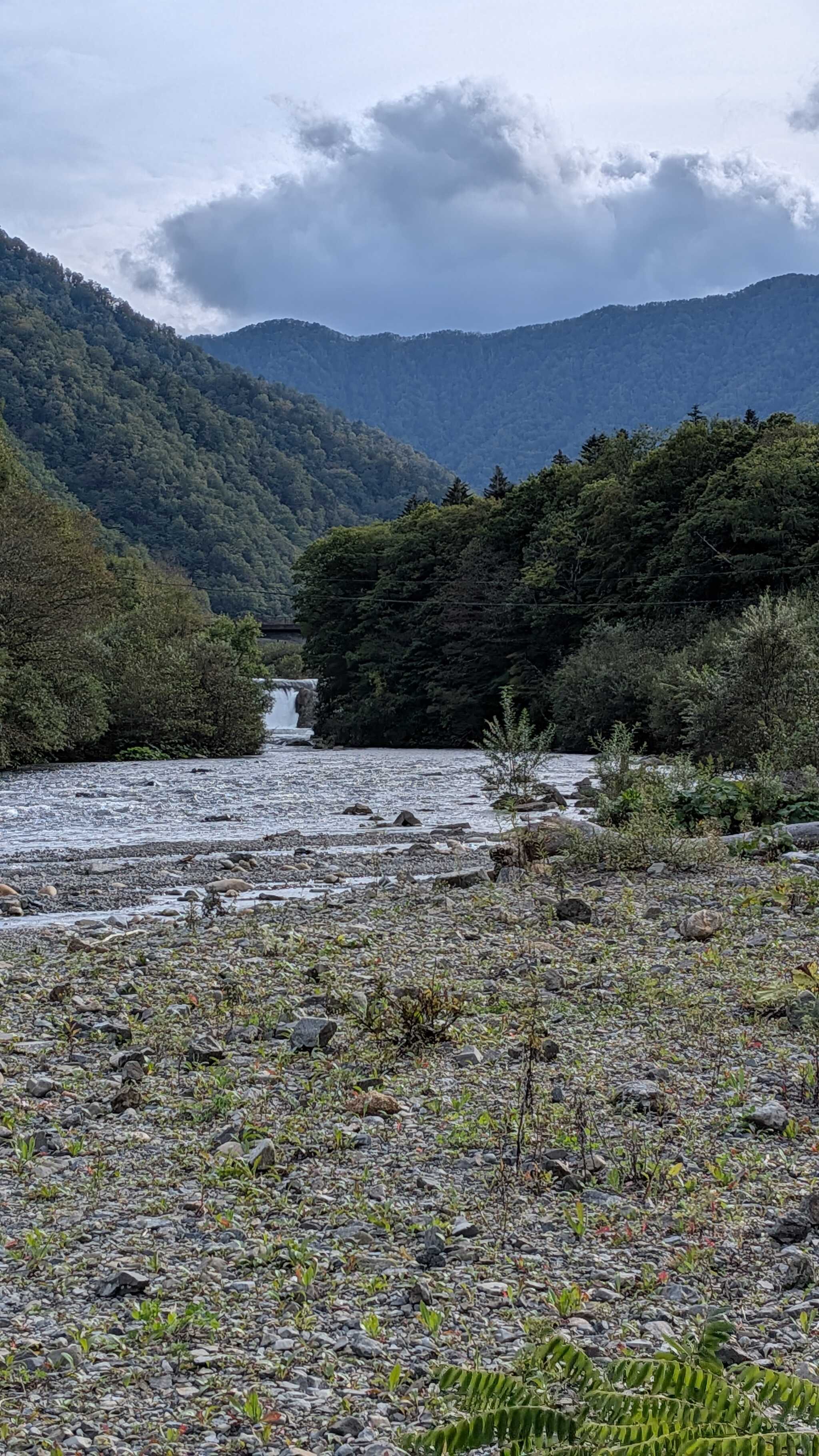 札内川の河原から見える景色