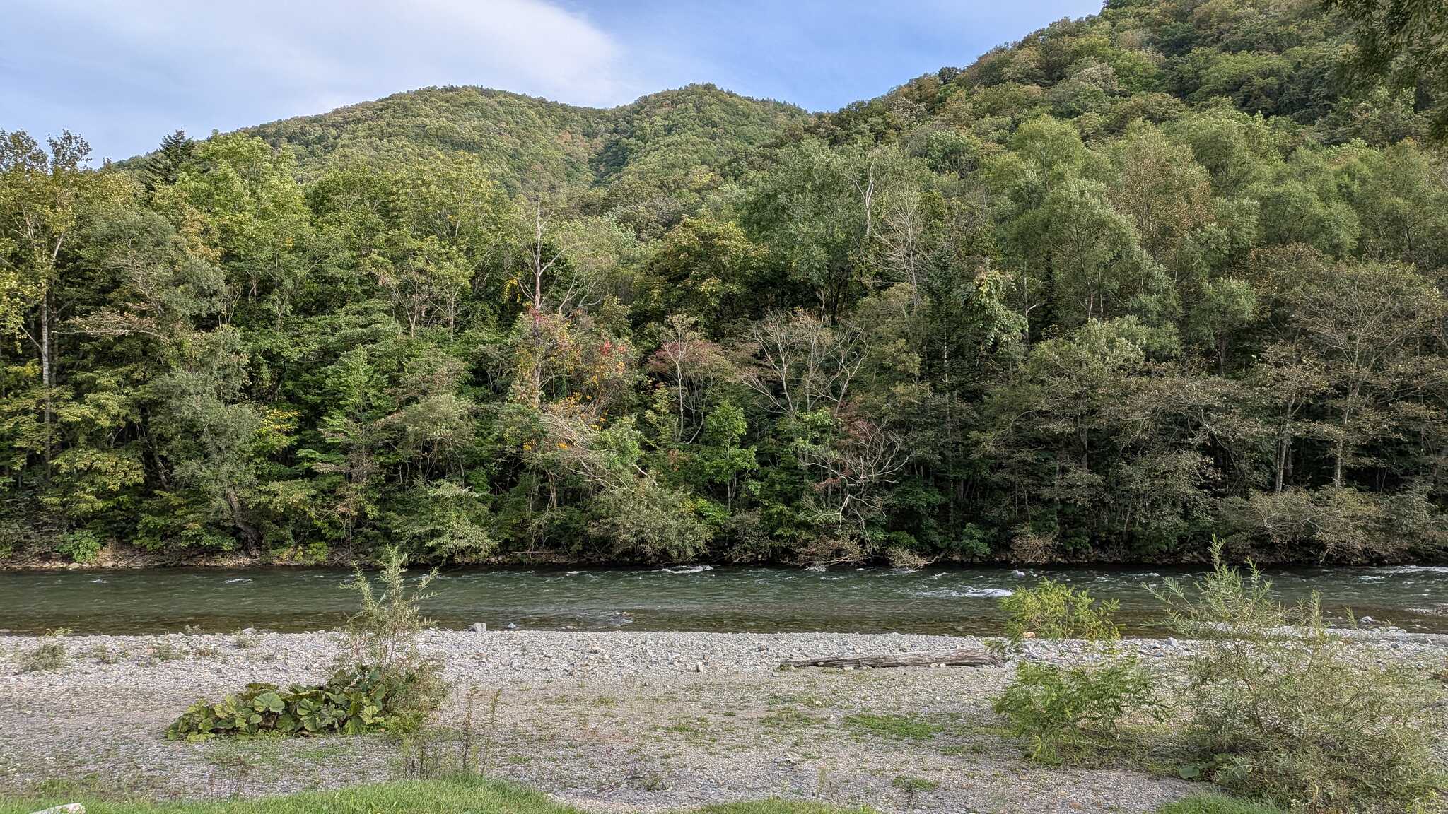 川沿いサイトからの眺め