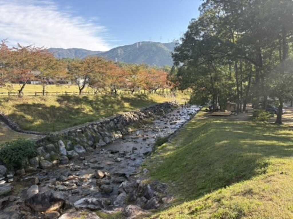 林間サイトの横を流れる小川です。水遊びができます。