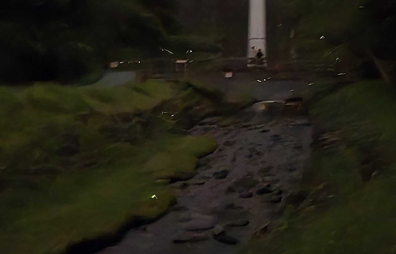 ホタル