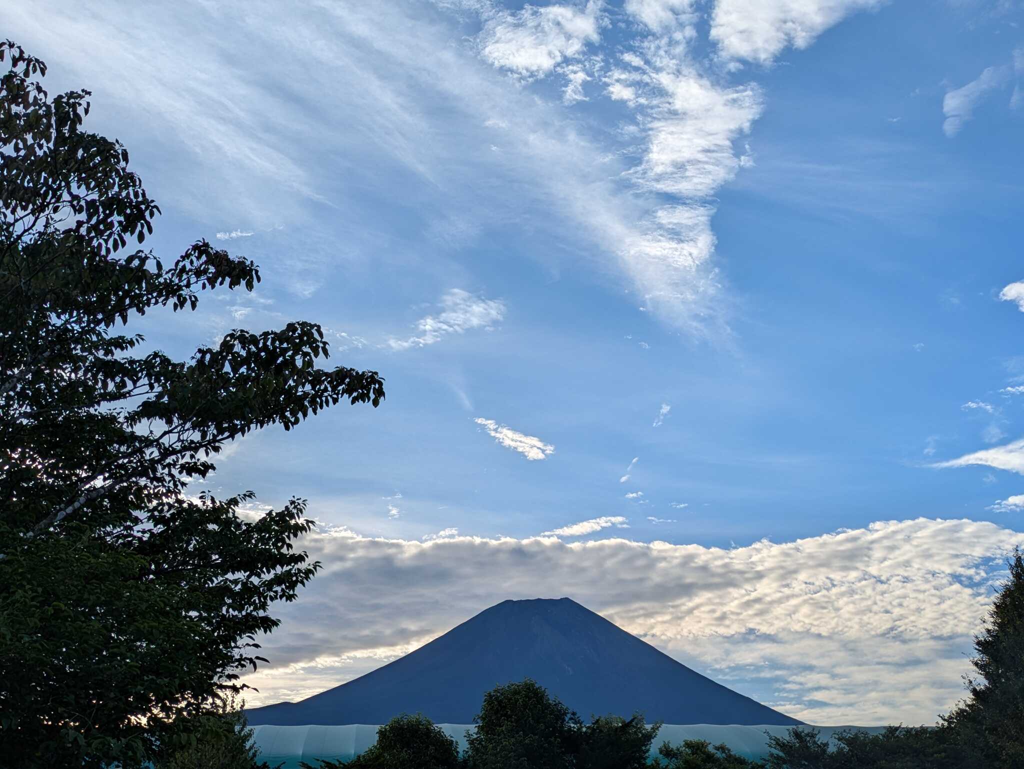 サイトから見れる富士山