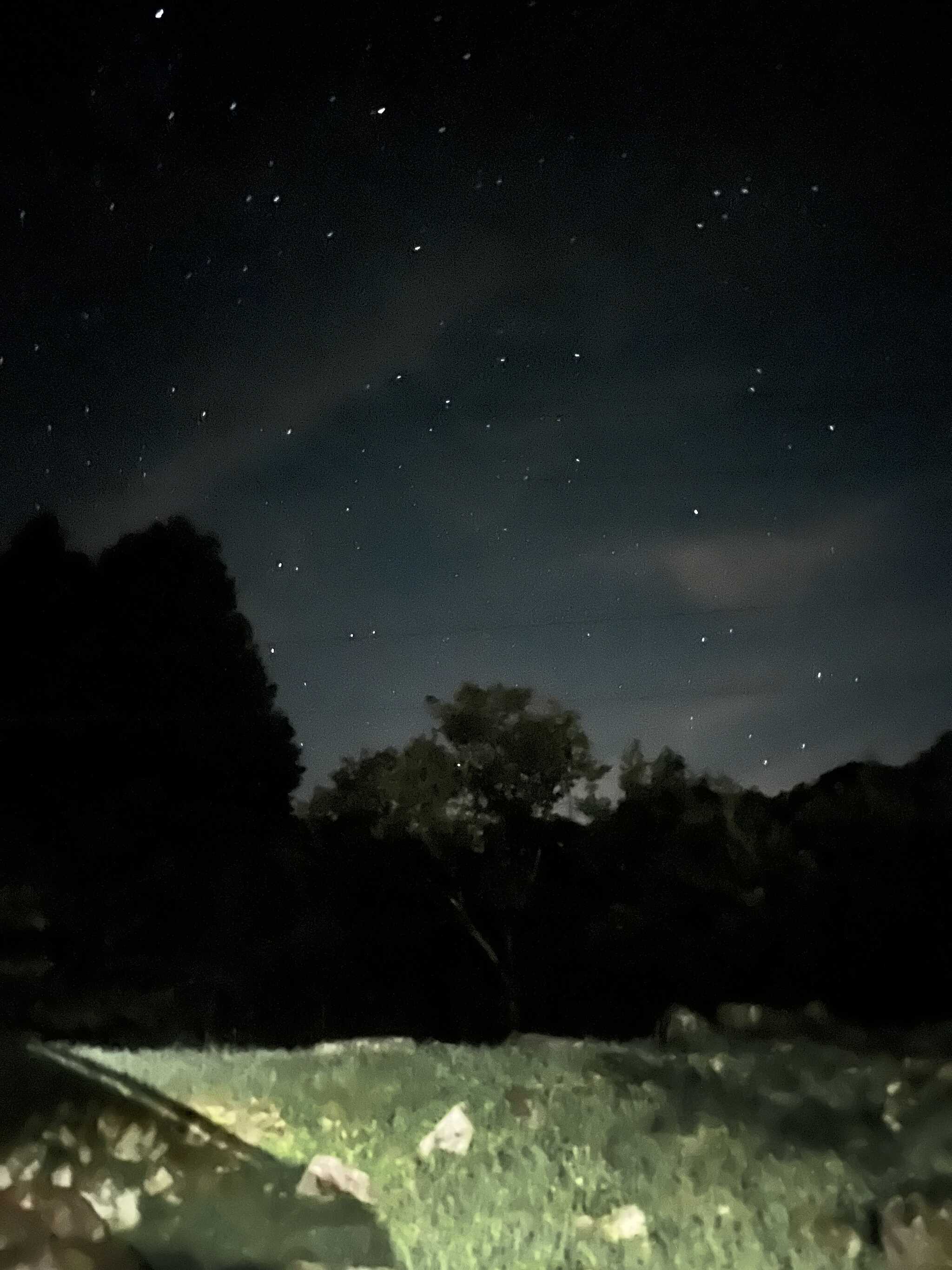 星空。とても綺麗でした。