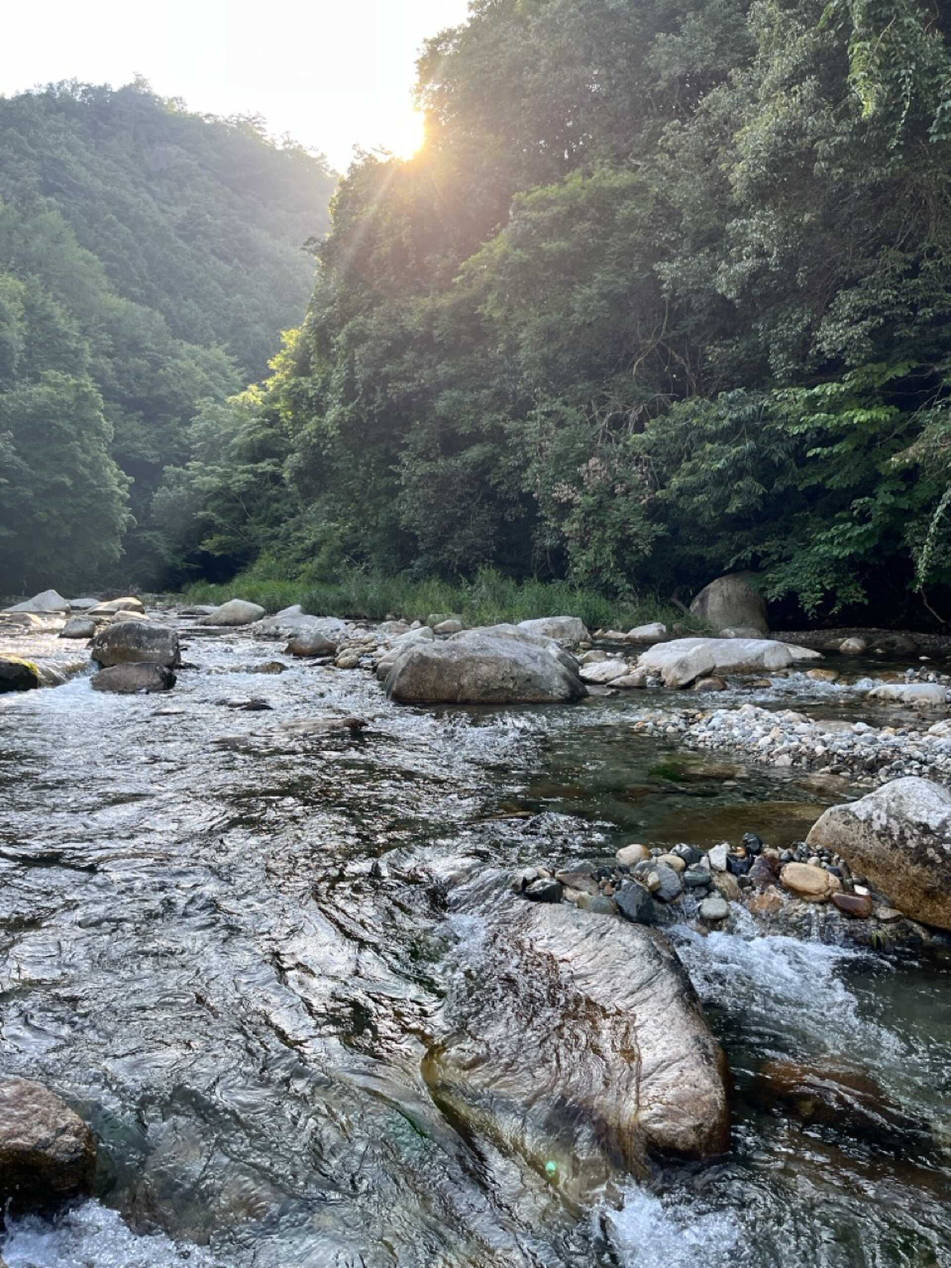まさに清流。気持ちいいです。