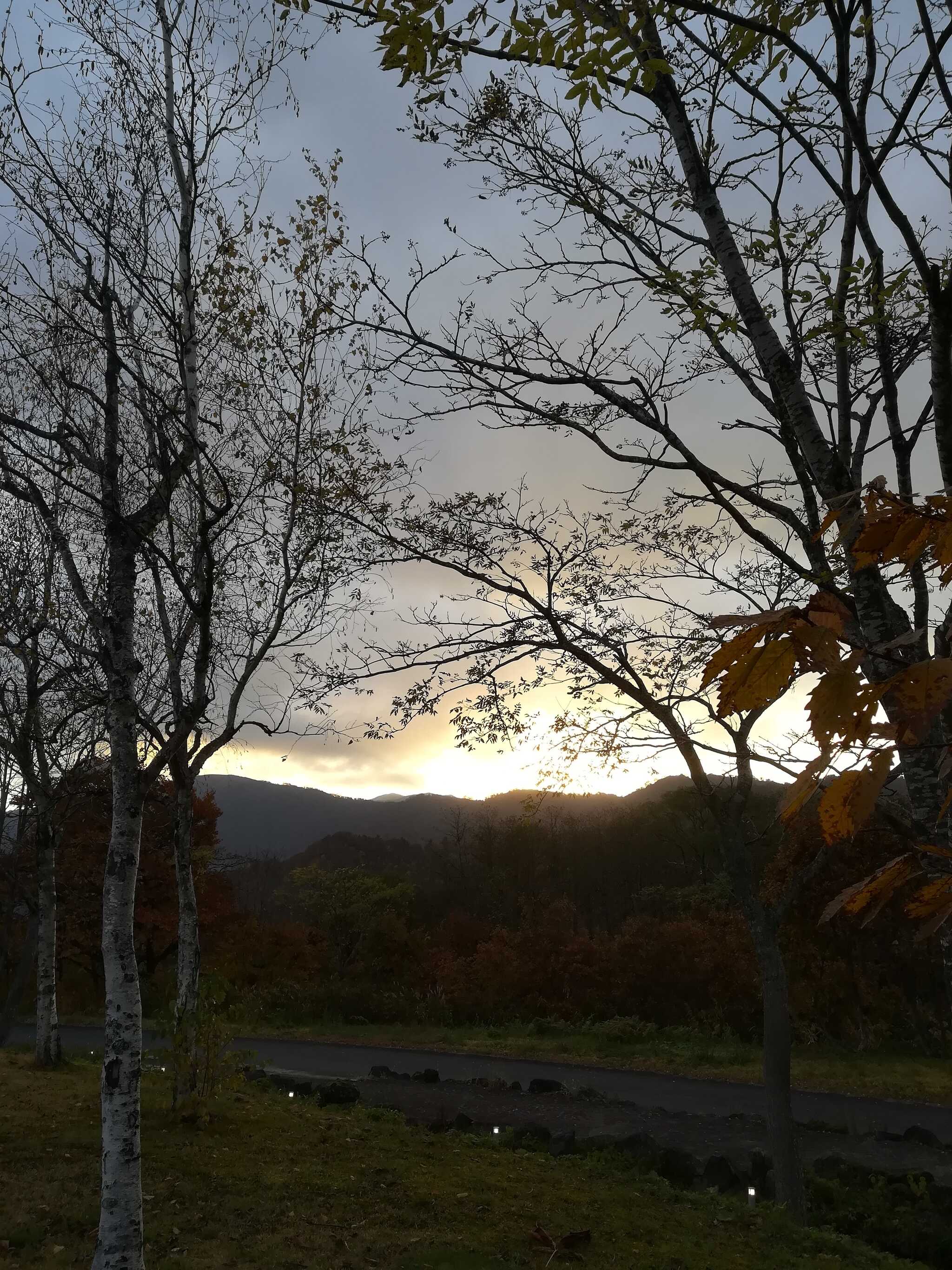 景色