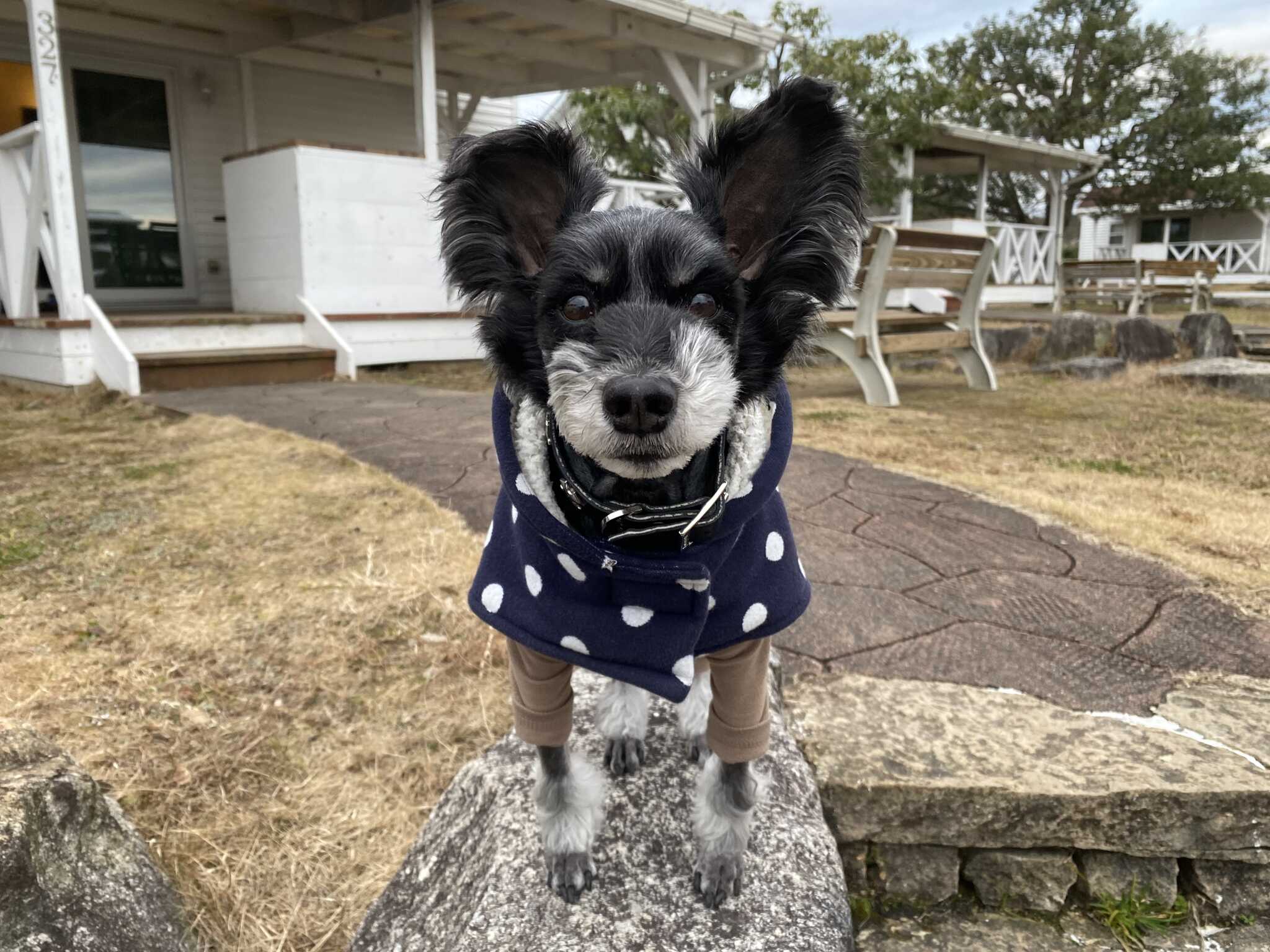 楽しかったです