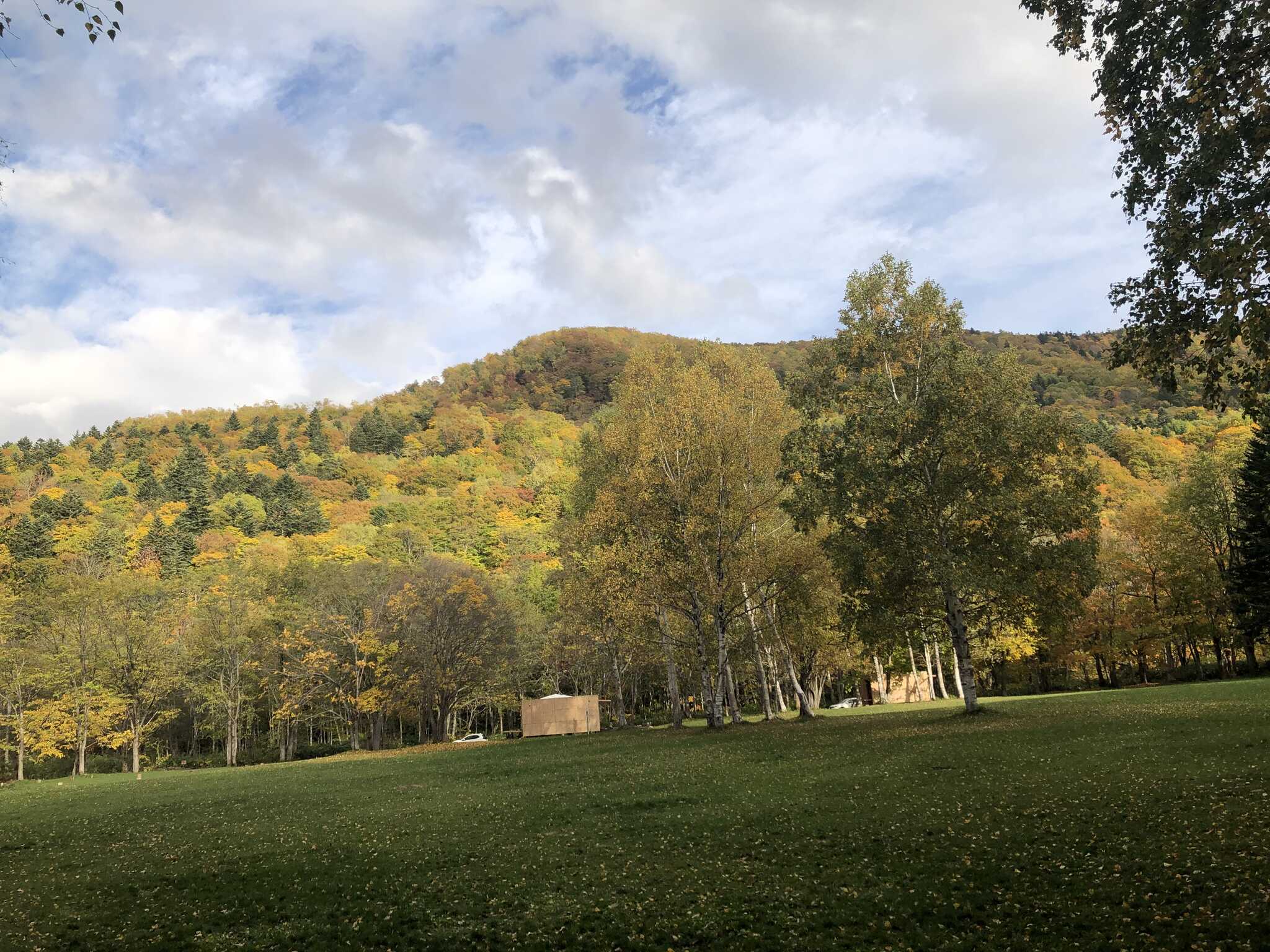 紅葉してる山