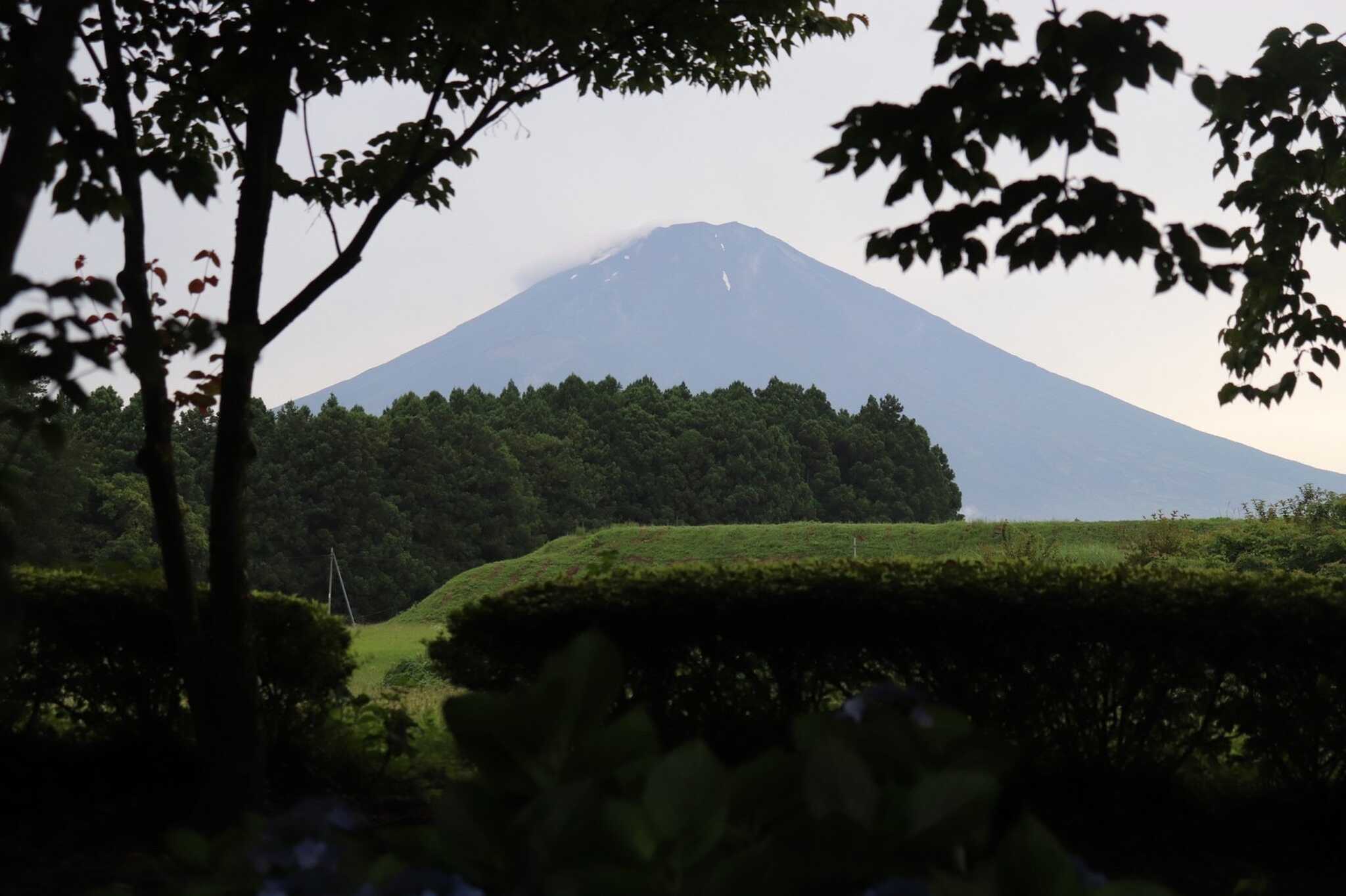 富士山見えた