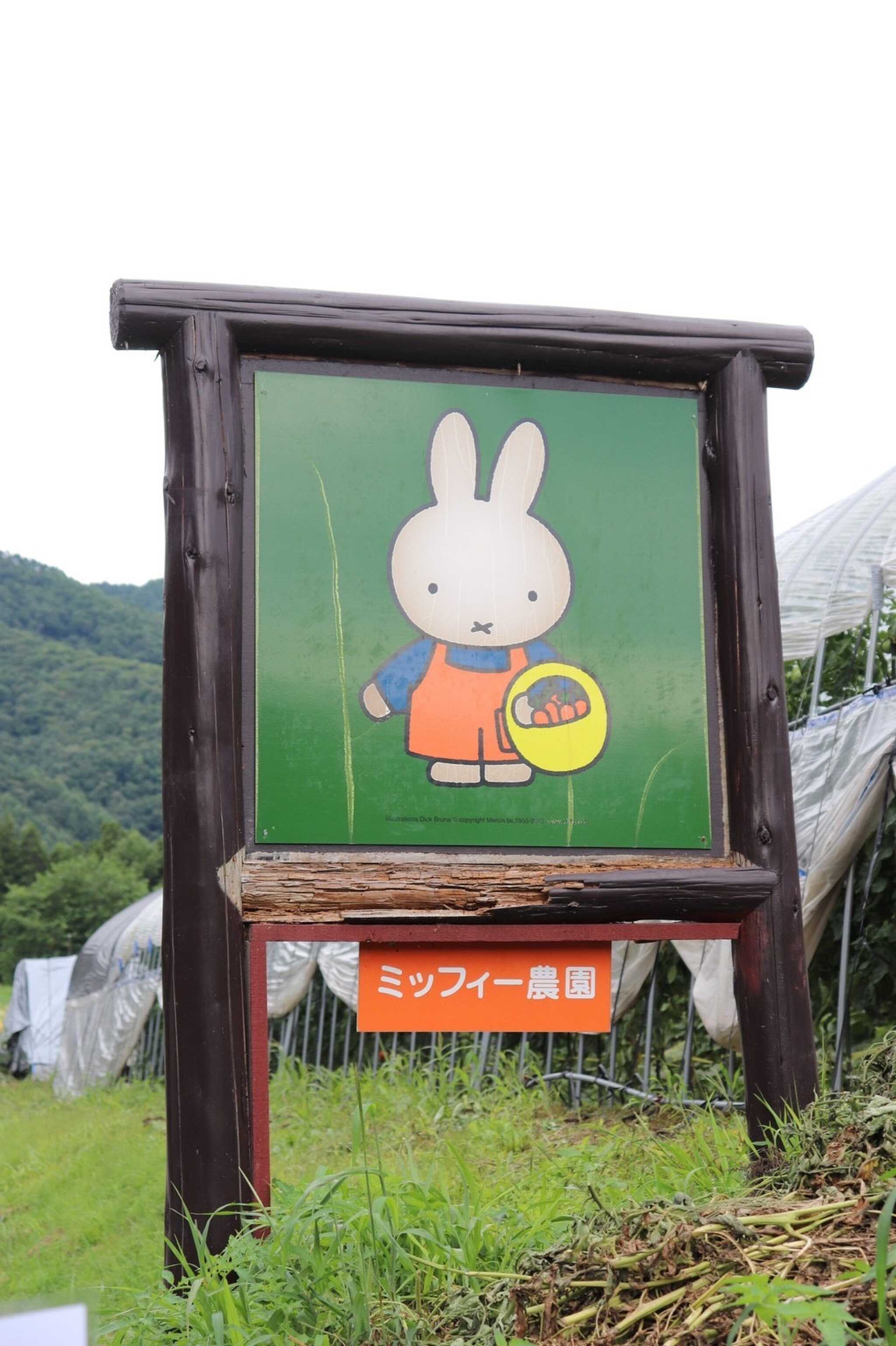 ミッフィー農園