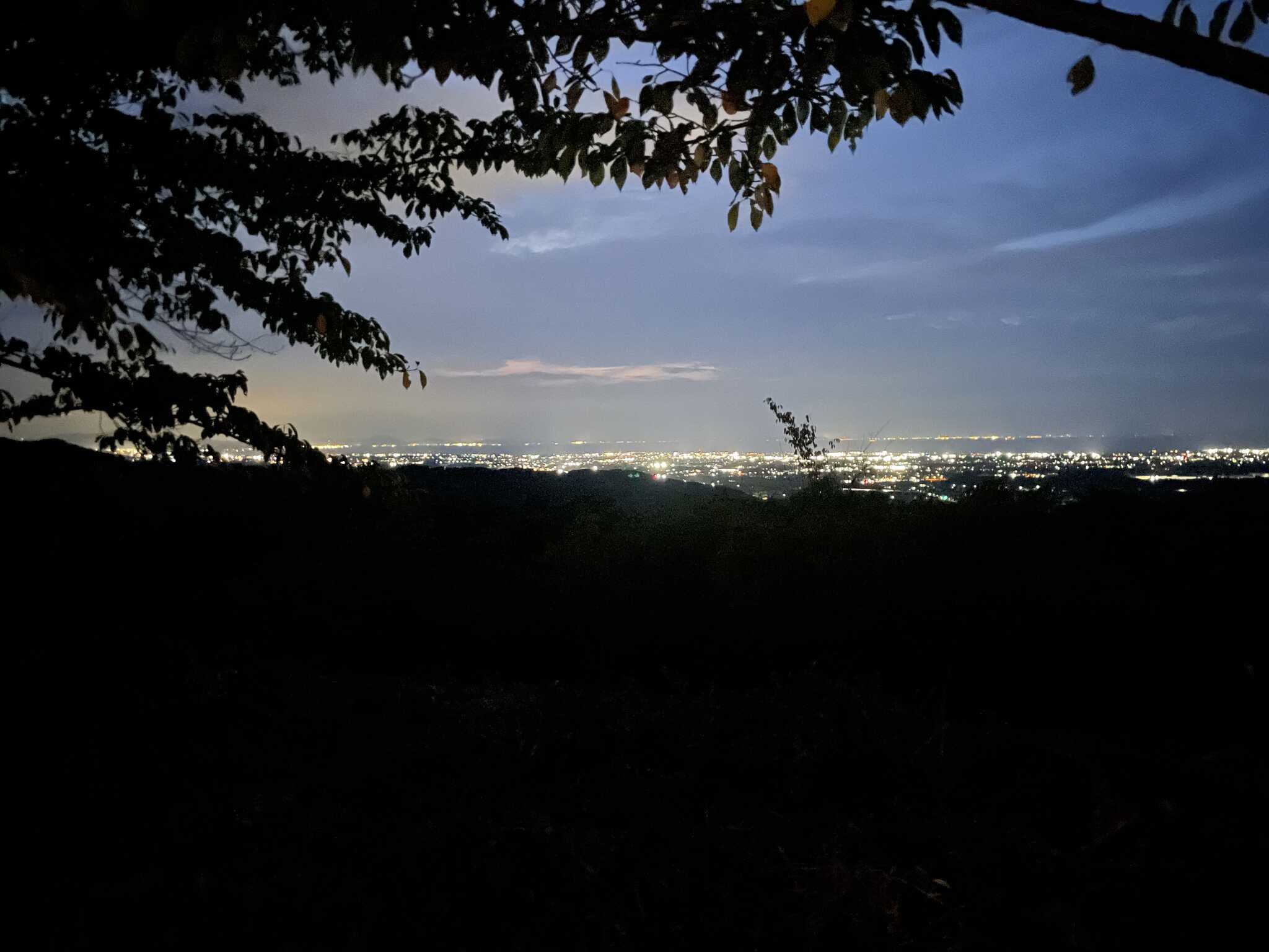 夜景が綺麗でした。