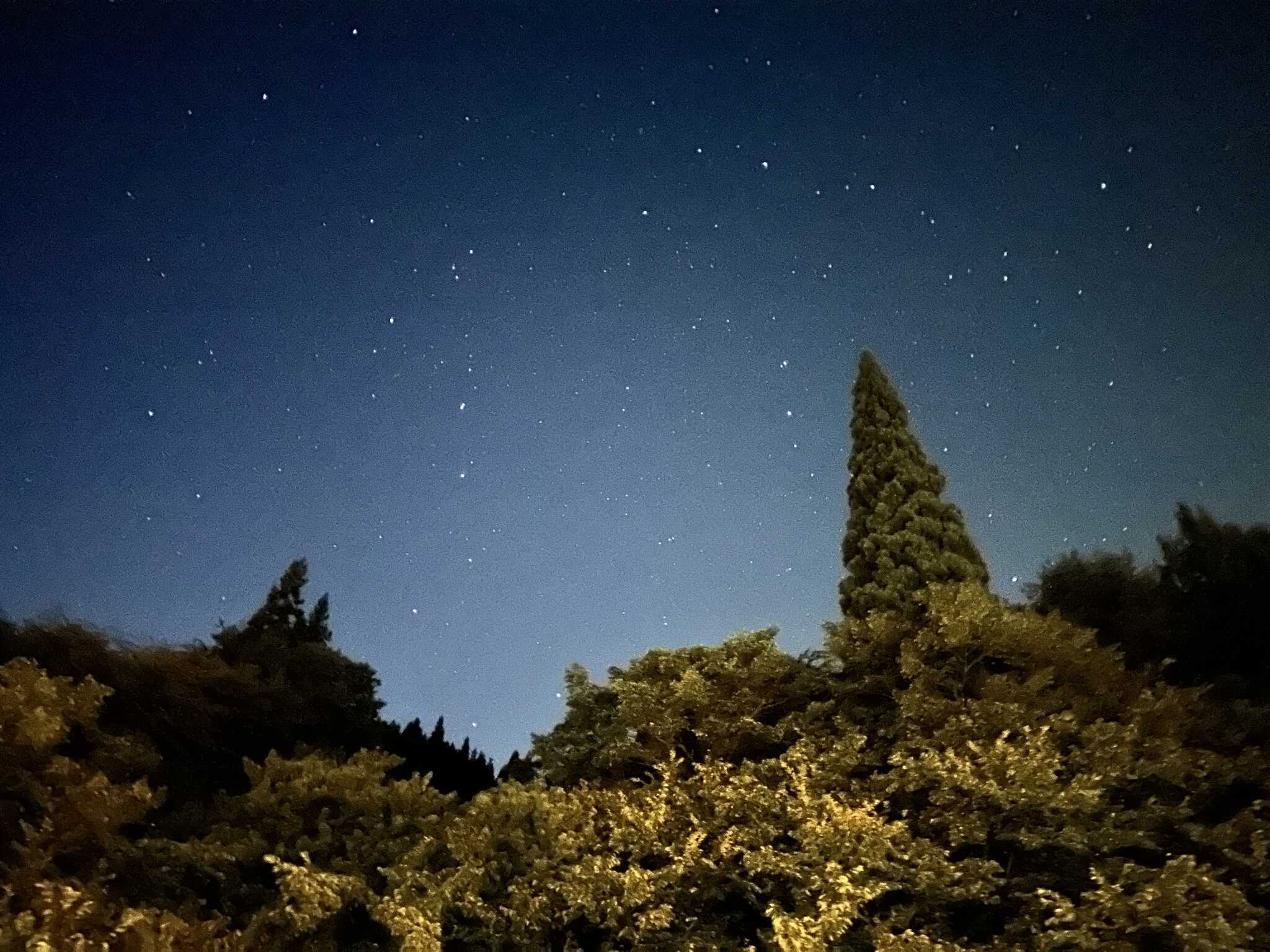 天空の電飾をまとったスカイツリー