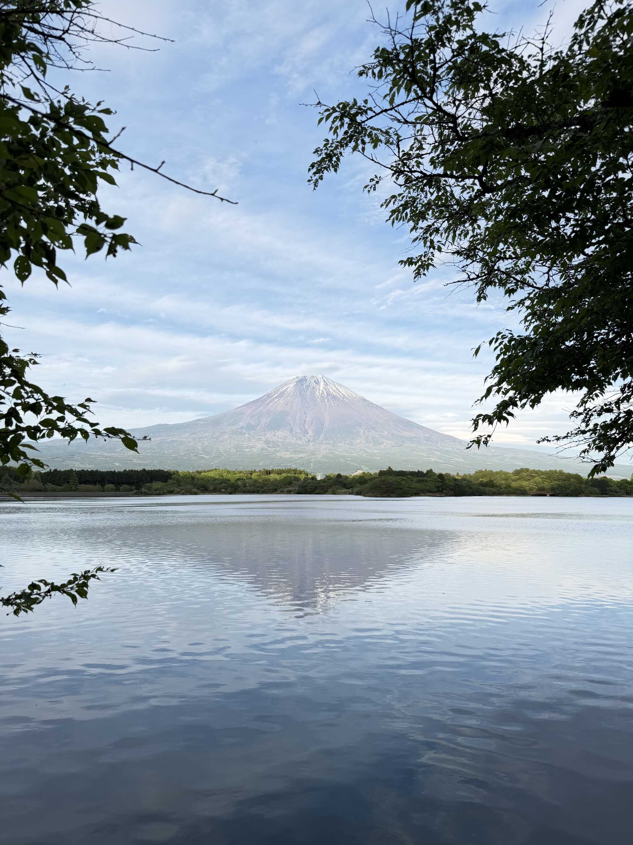 田貫湖と富士山