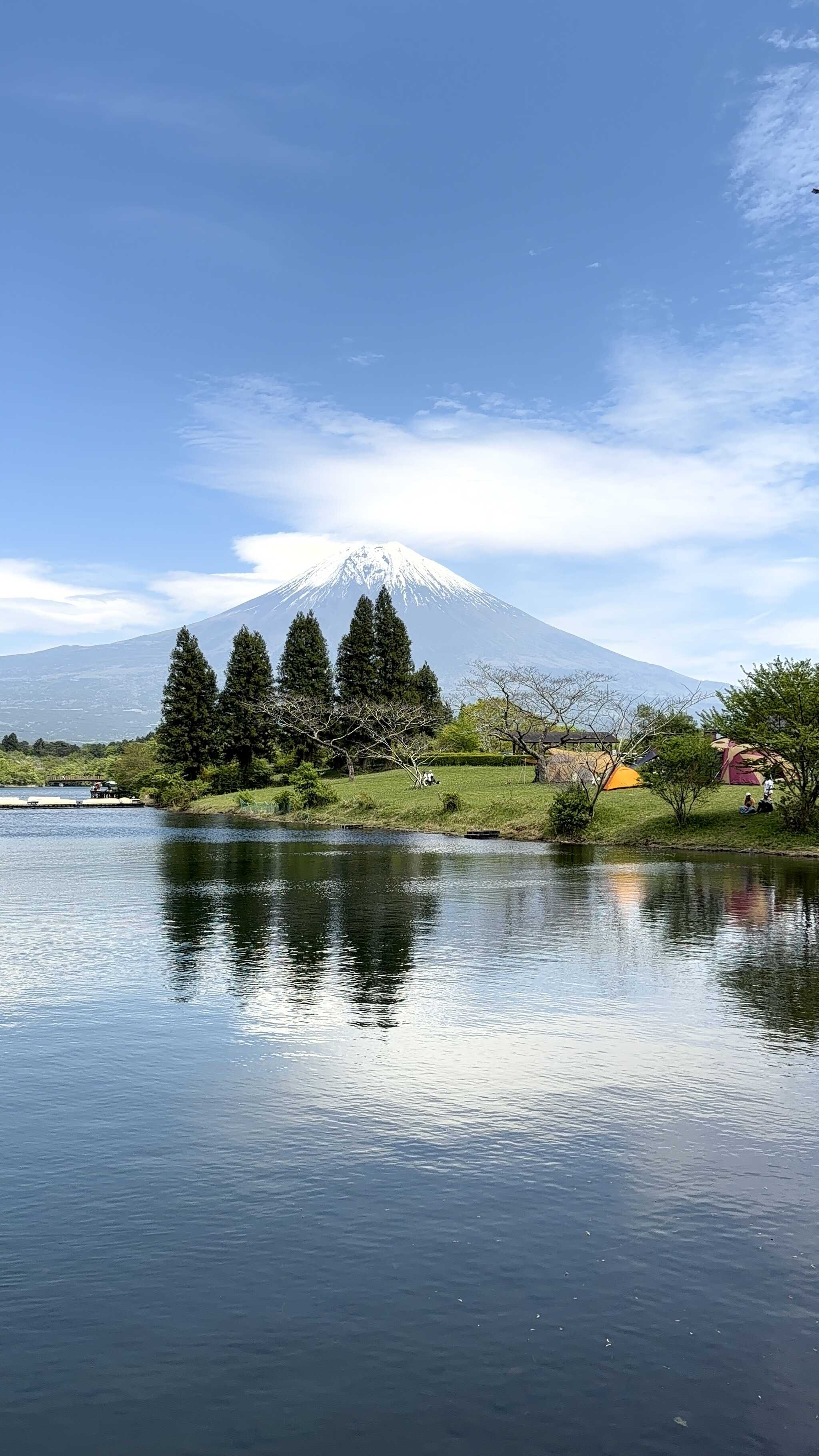 自然と富士山
