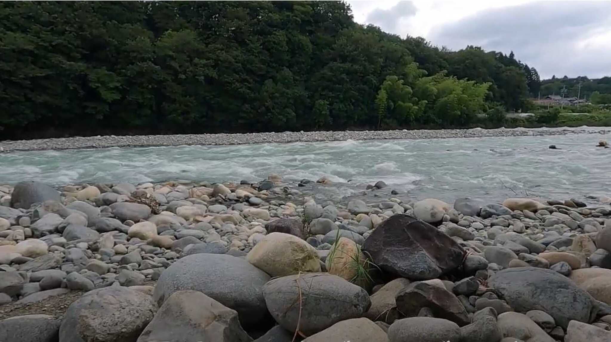 増水中の付知川。普段は普通に入れるはずです。