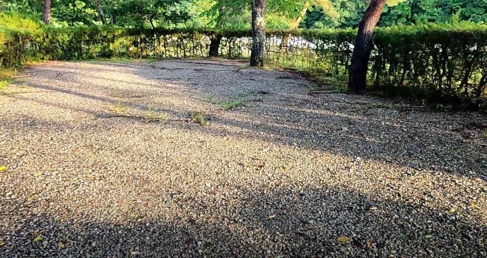 豪雨後の翌朝サイト状況。水たまりなし