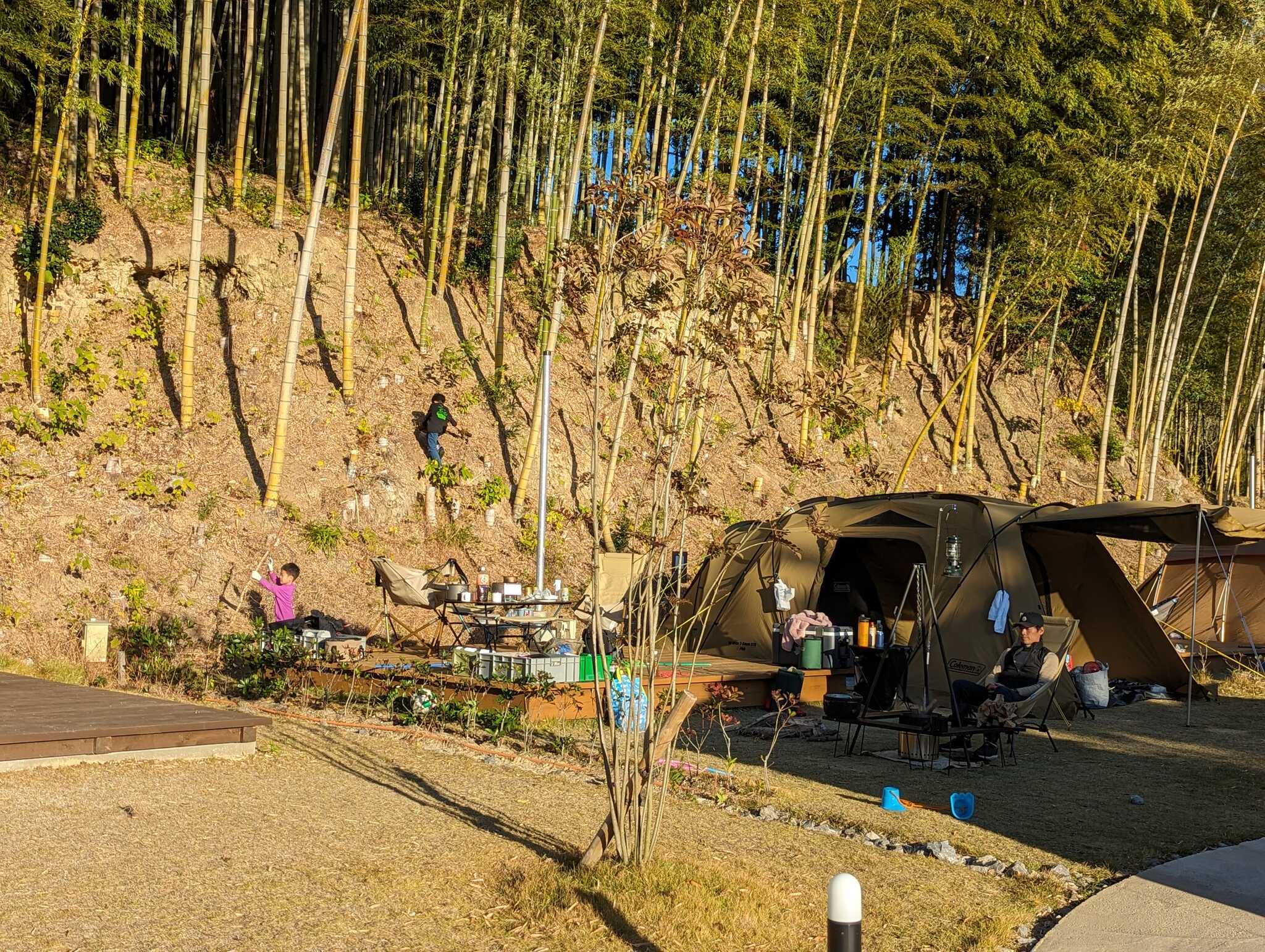 サイト裏の竹林で遊ぶ