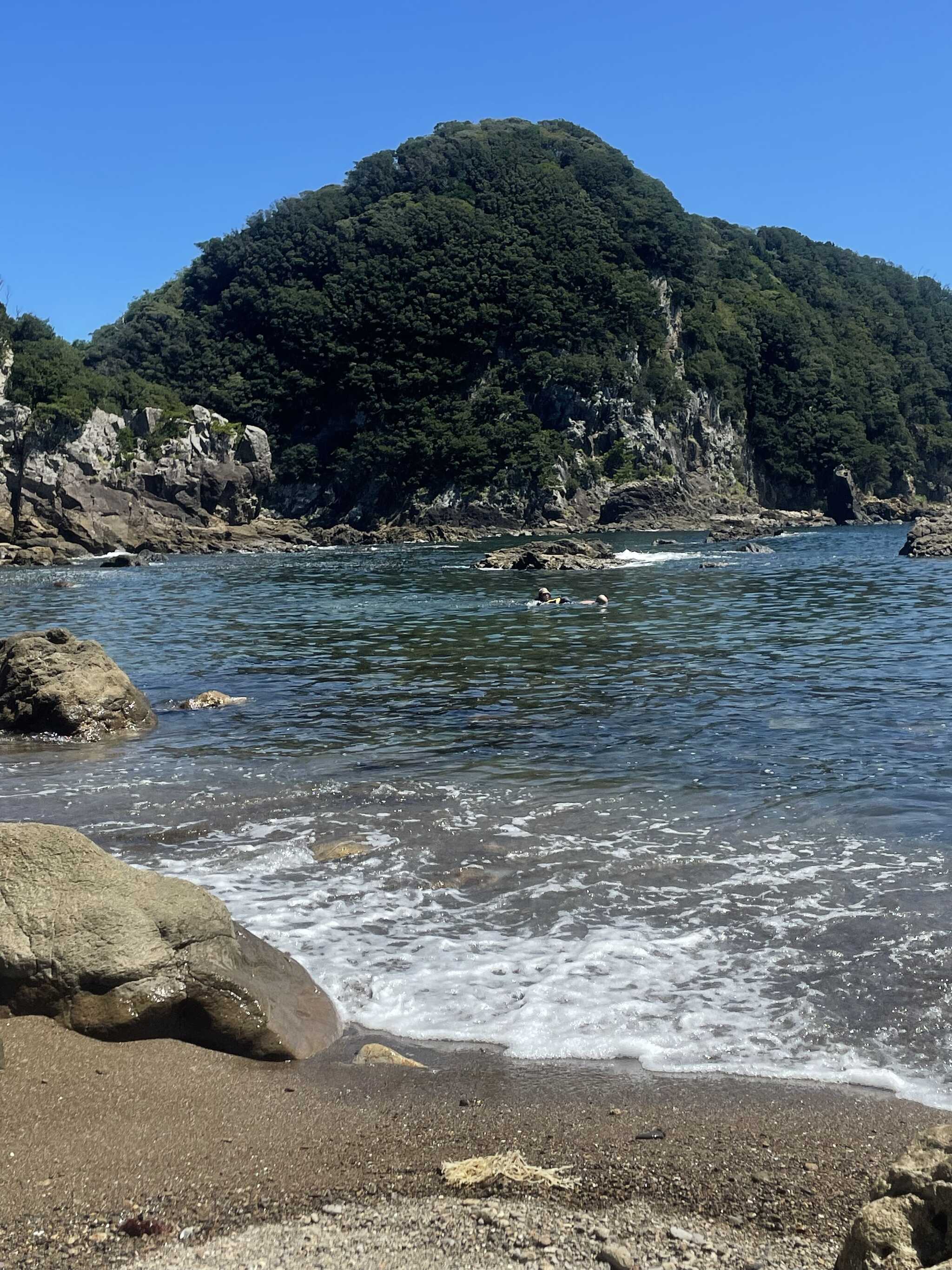 階段を下りたらすぐ海で魚がたくさん