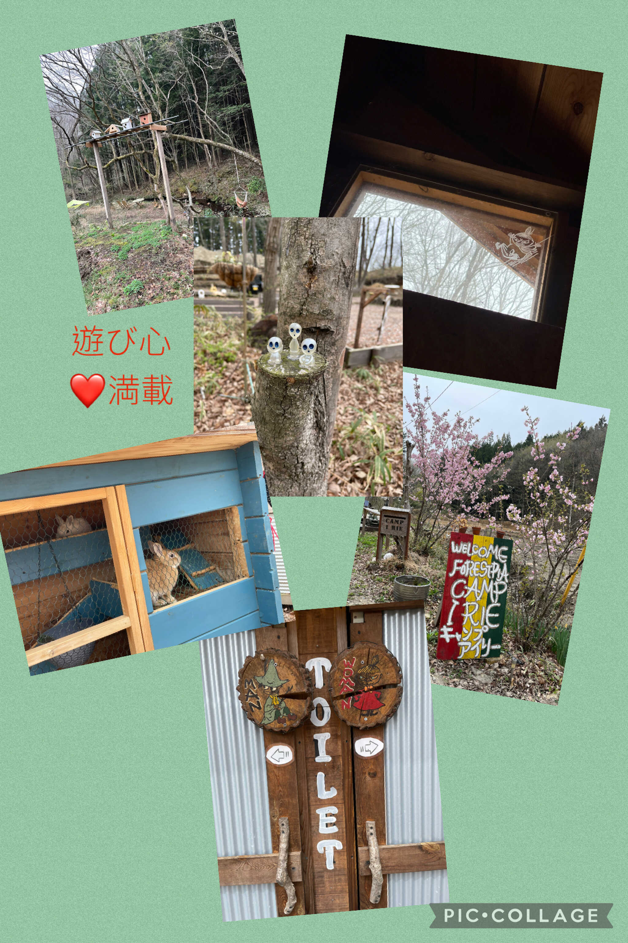 かわいいお出迎え