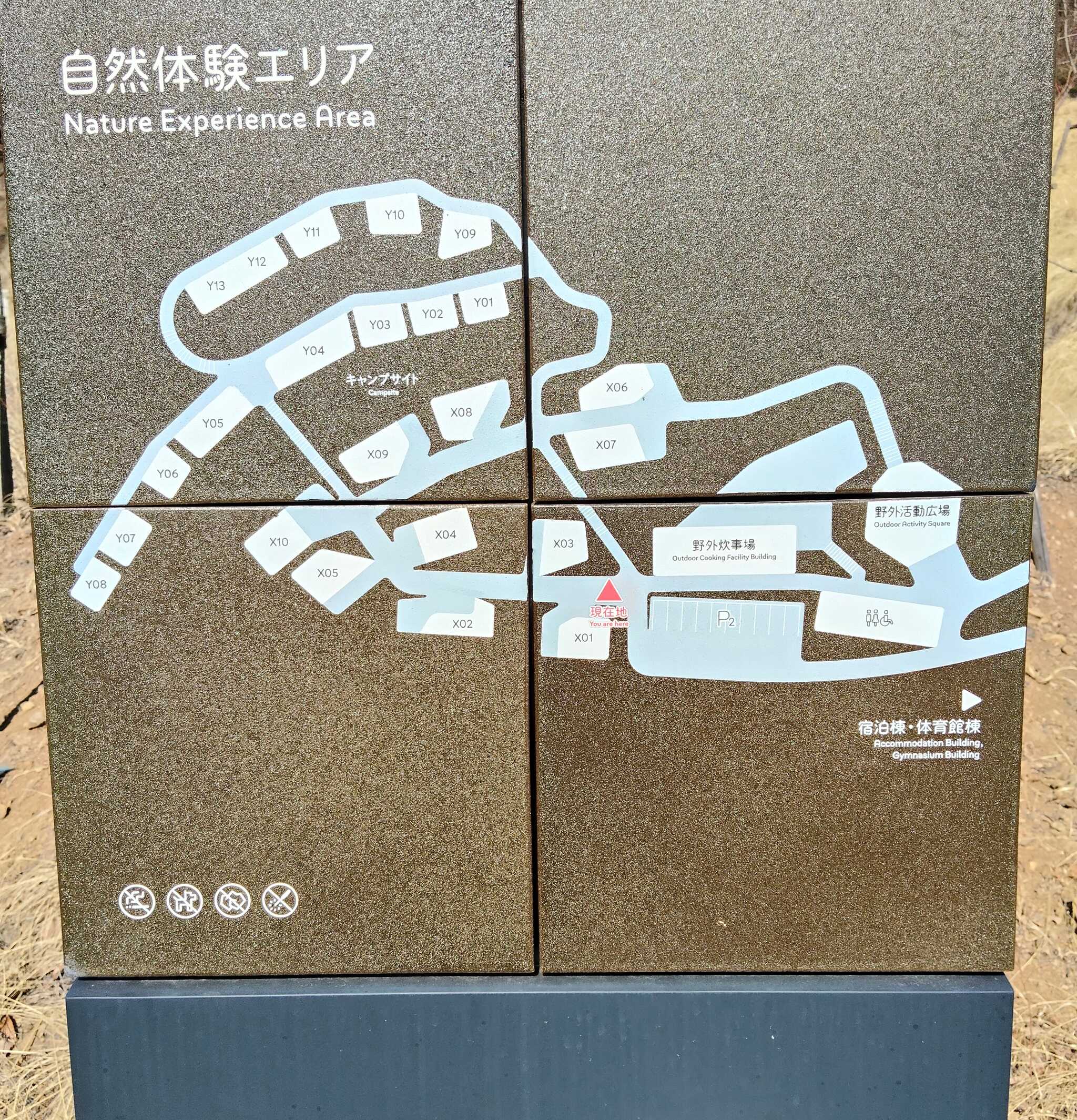 サイト図