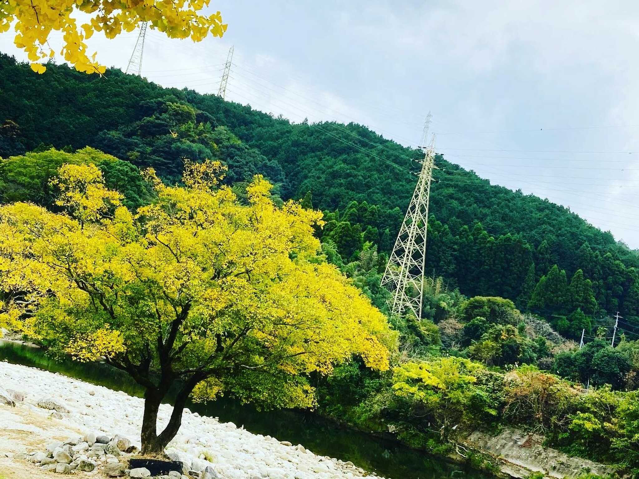 景観