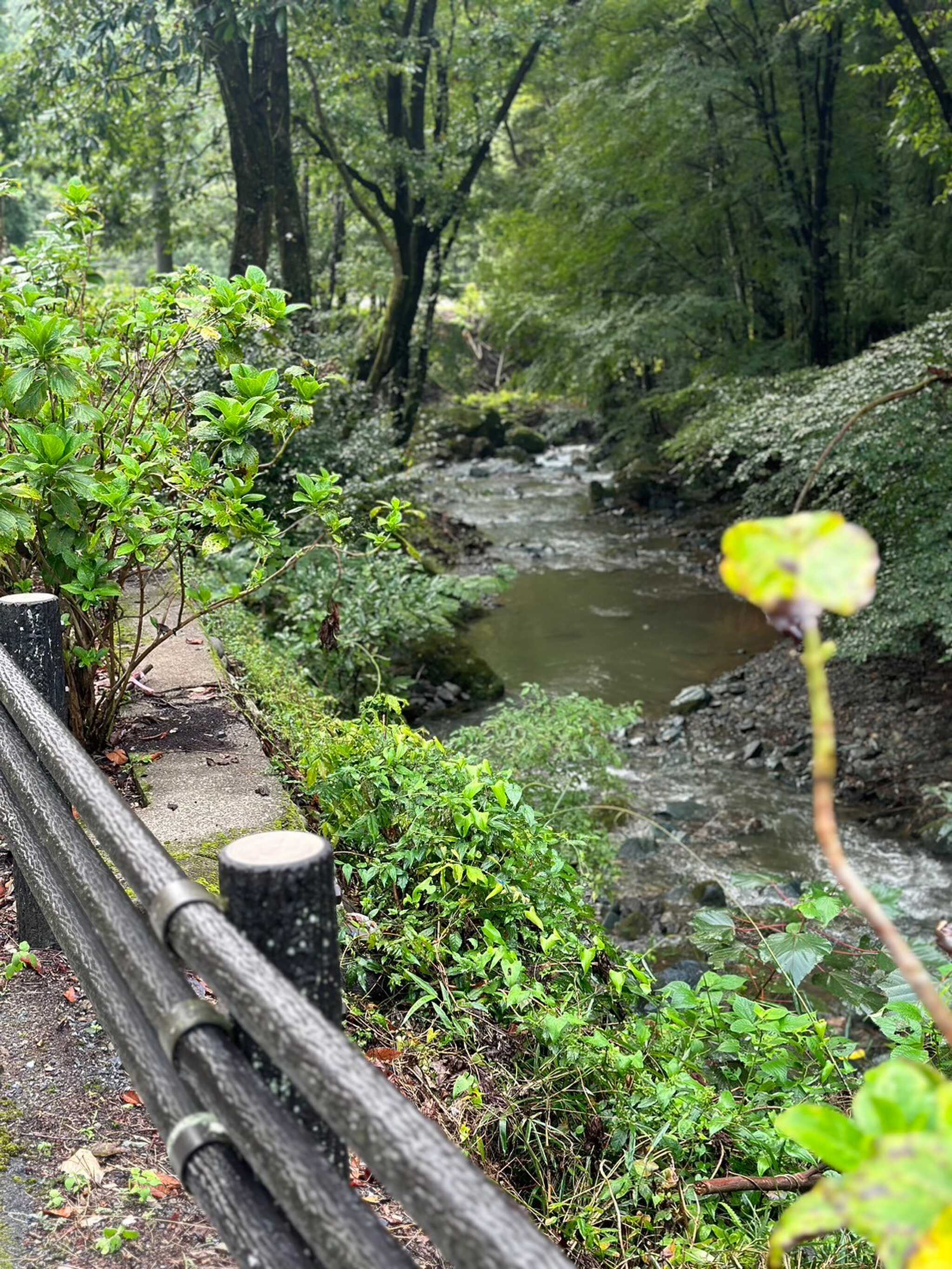目の前の川