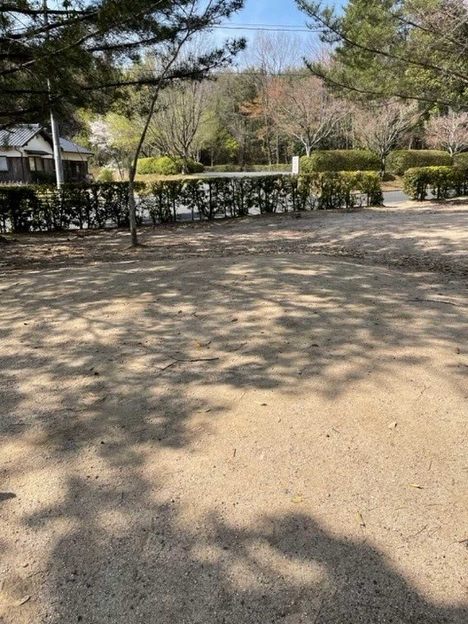 キャンプサイト