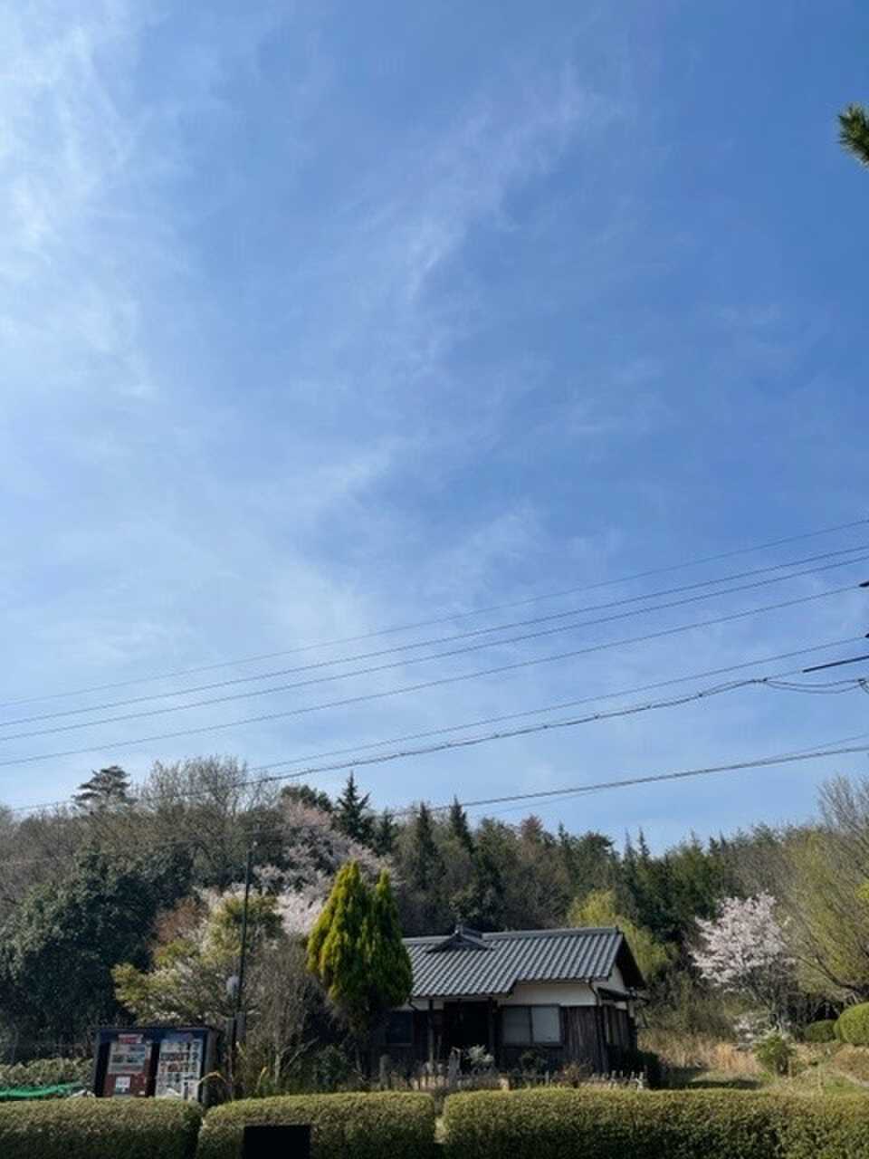 天気良し