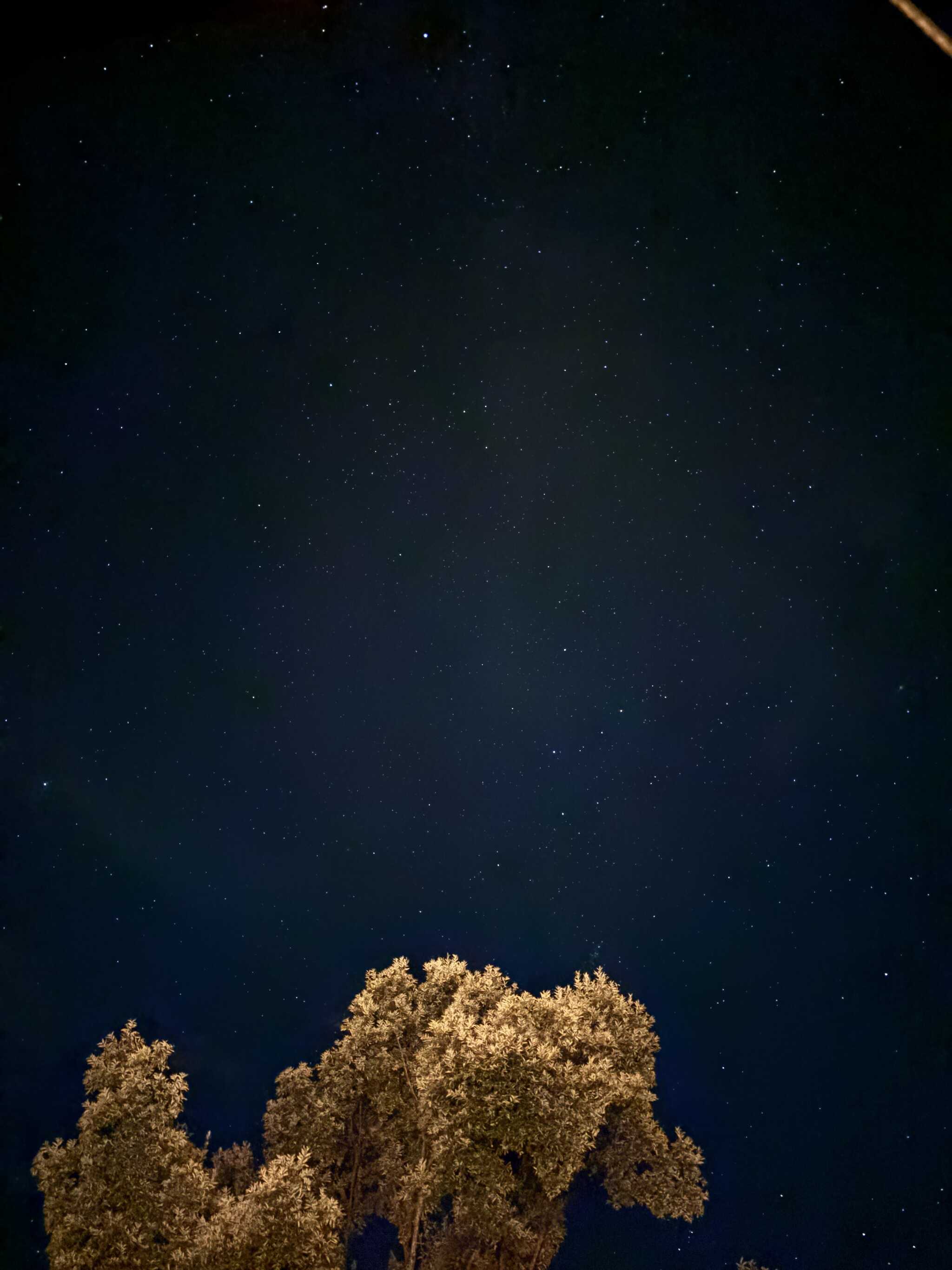 夜の星空