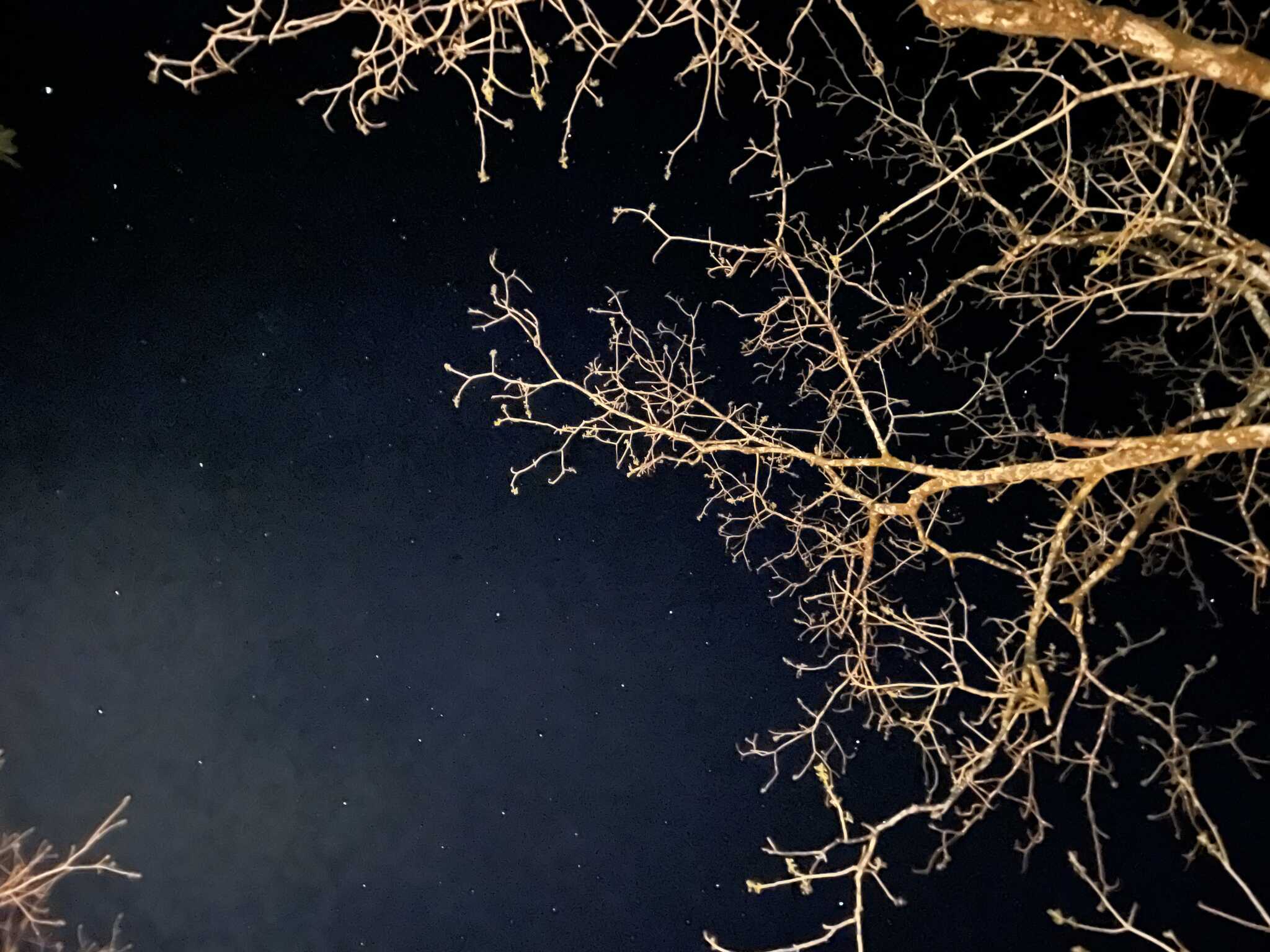 上空はすごい星でした