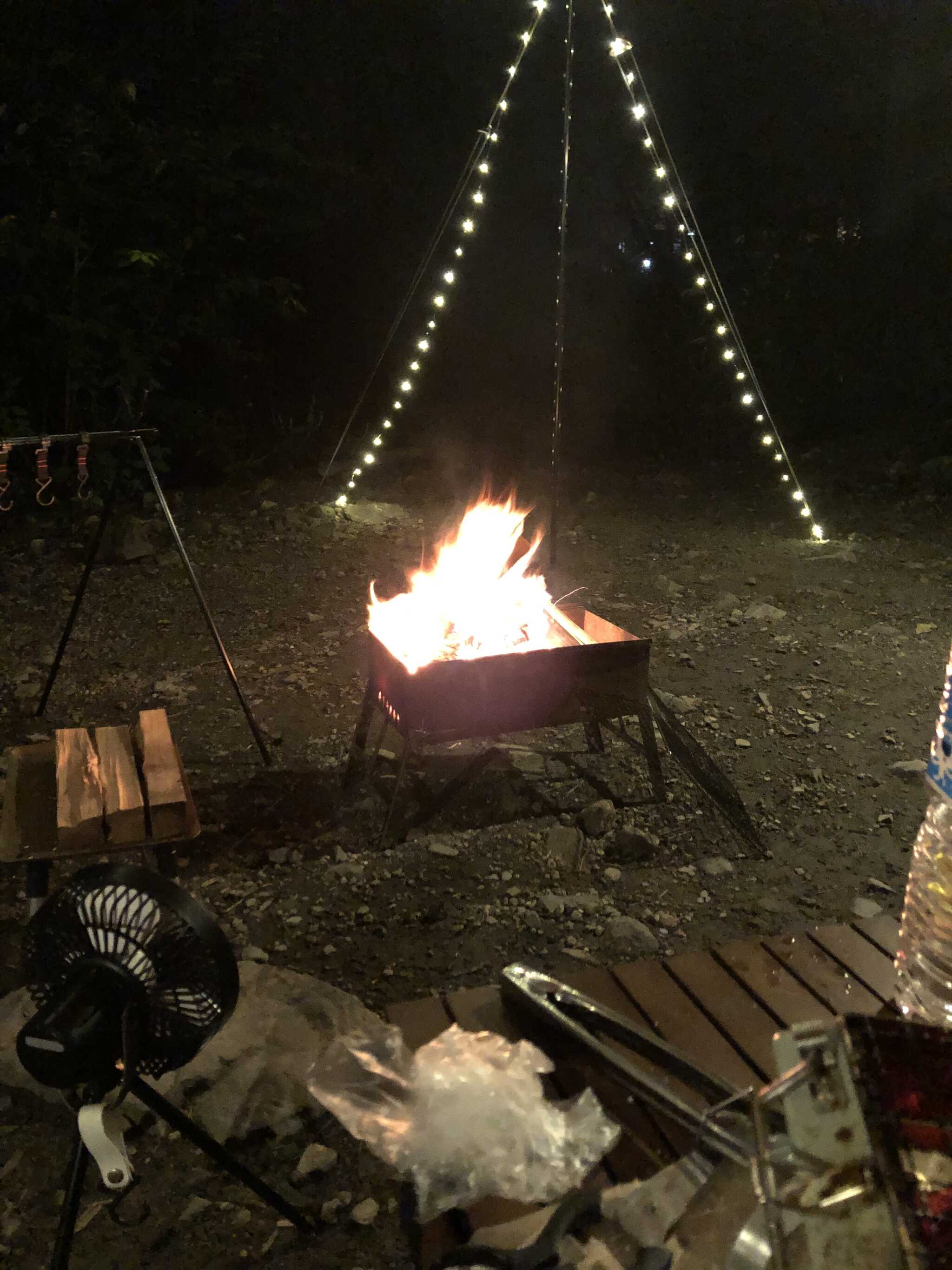 昼も夜も良かった〜