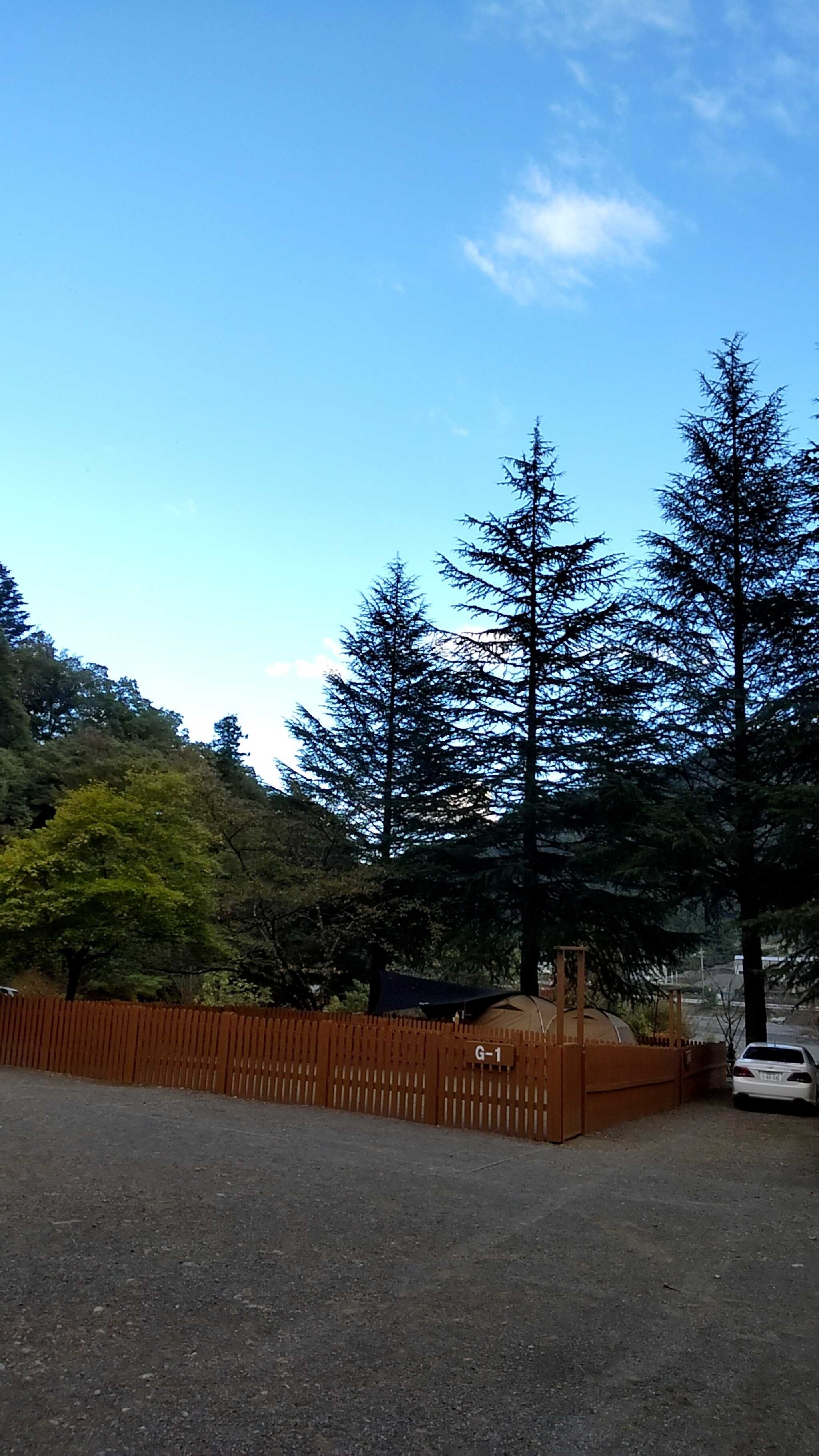 キャンプ場の山
