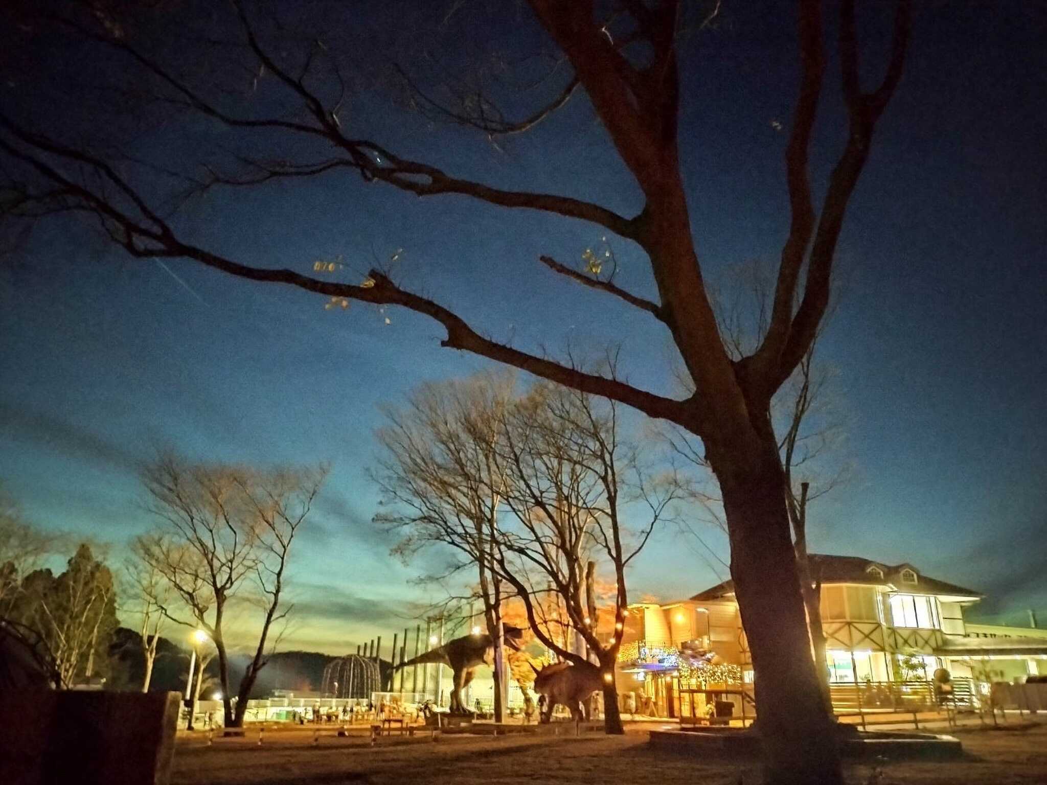サイトからの眺め