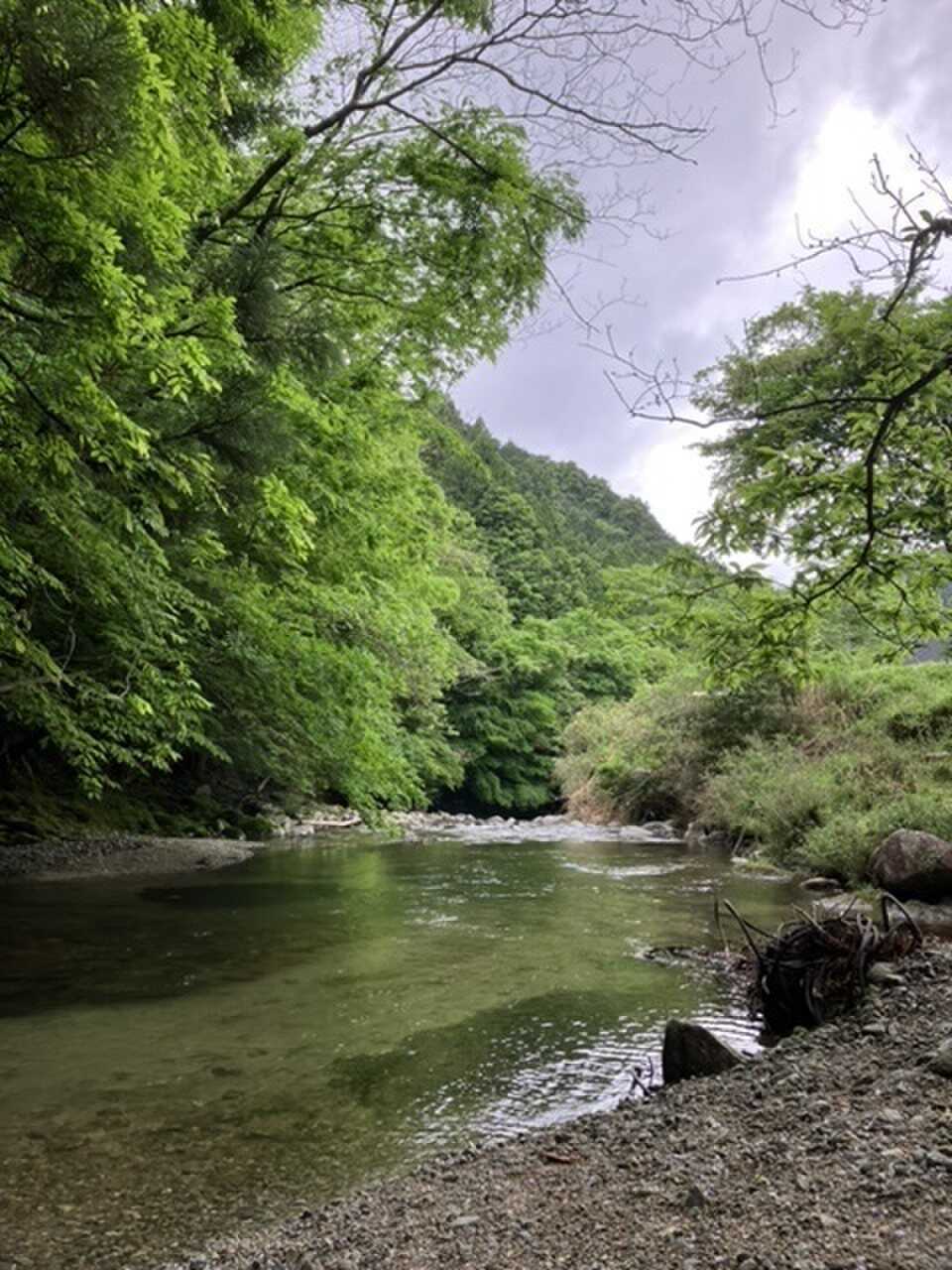 サイト裏の川