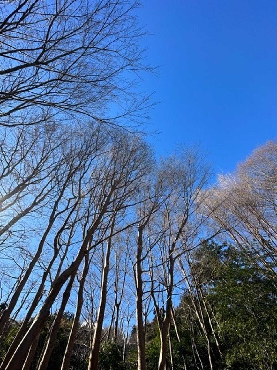 青空